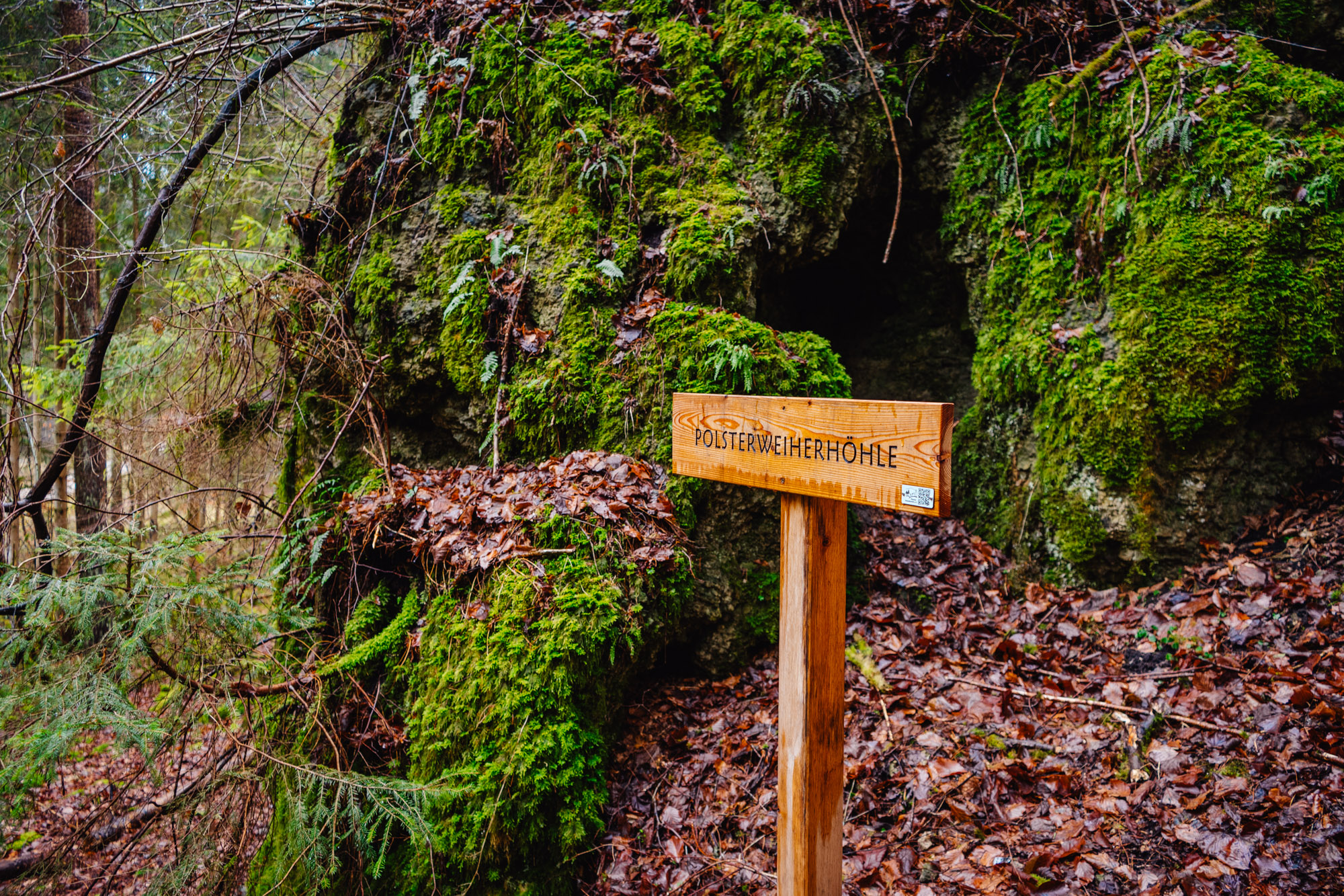 2025-03-01 114707 Neuhaus to Pegnitz 05488