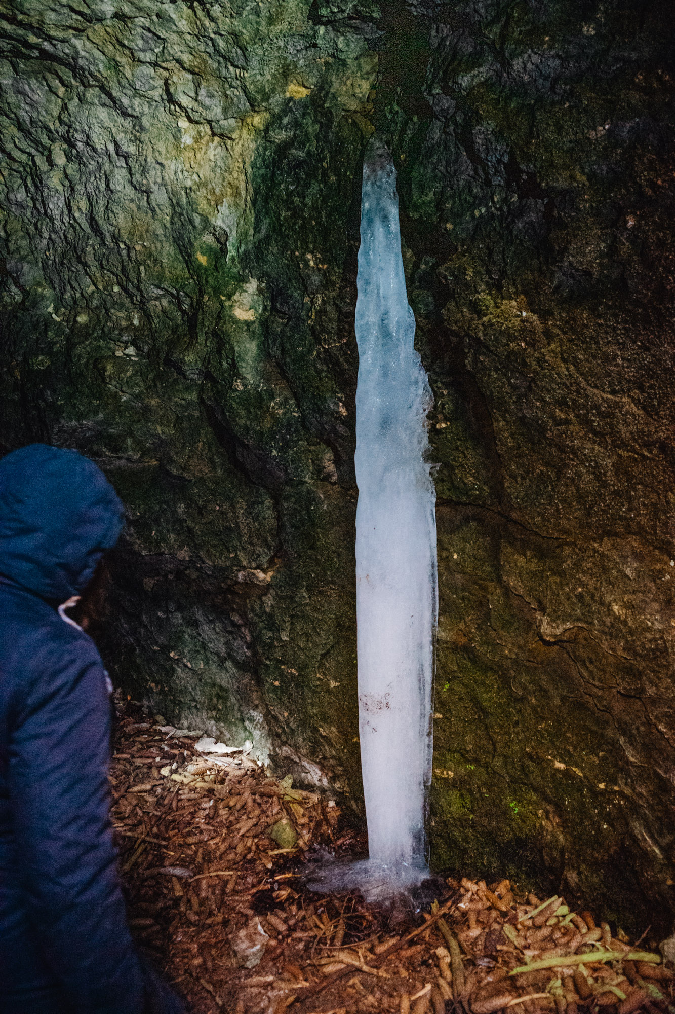 2025-03-01 151829 Neuhaus to Pegnitz 05625