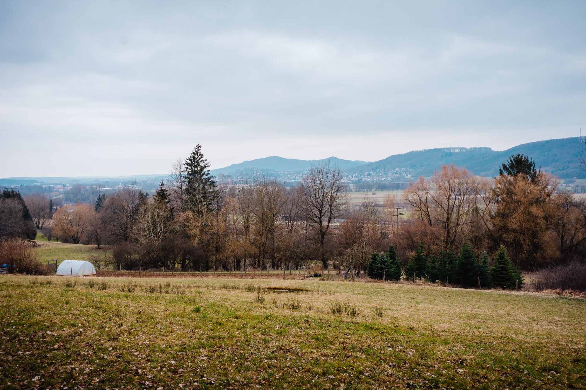 2025-03-15 Hollow Rock 05677