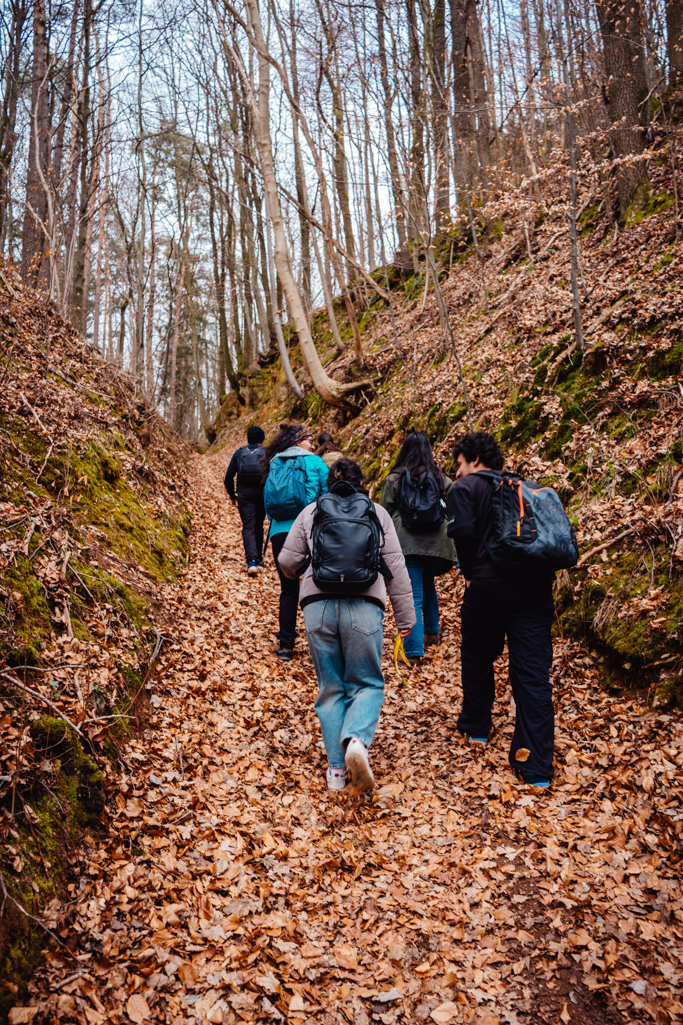 2025-03-15 Hollow Rock 05692