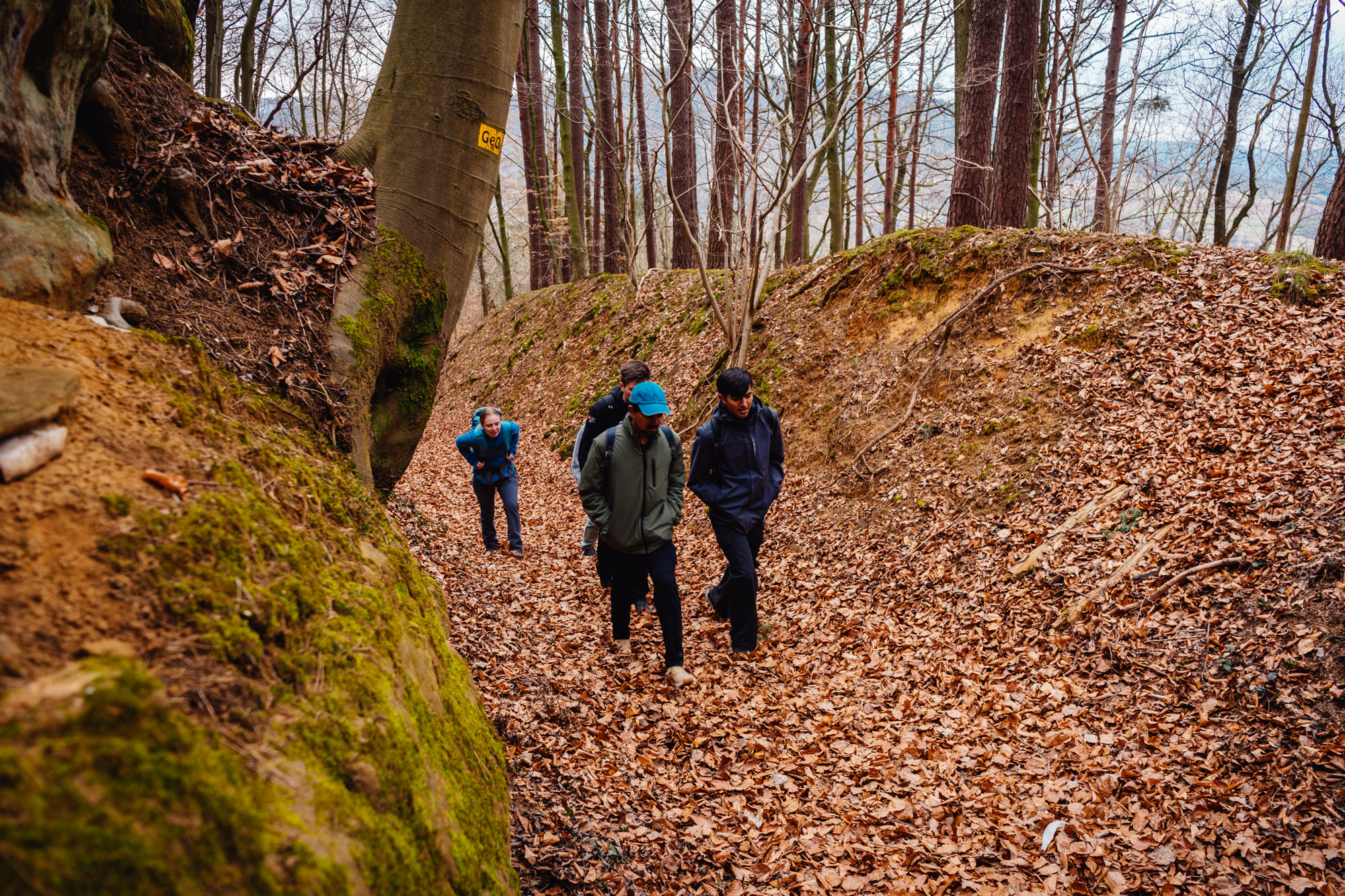 2025-03-15 Hollow Rock 05696