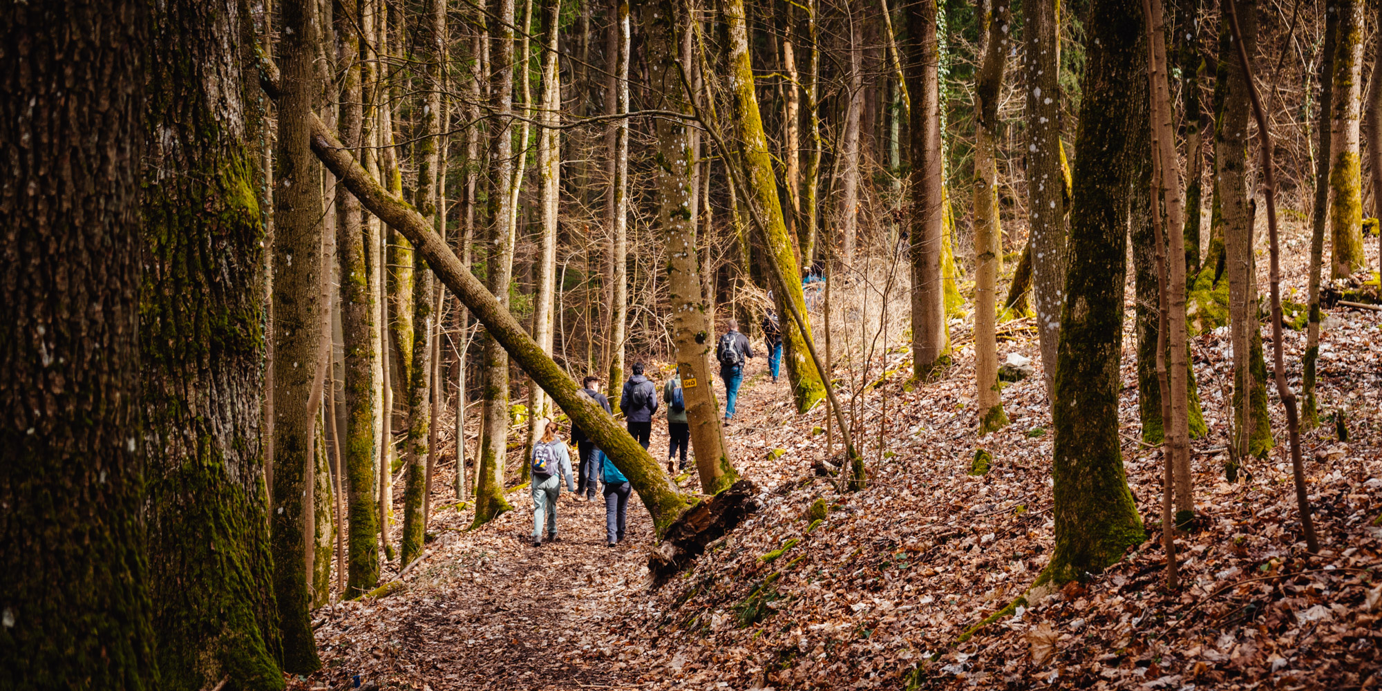 2025-03-15 Hollow Rock 05709