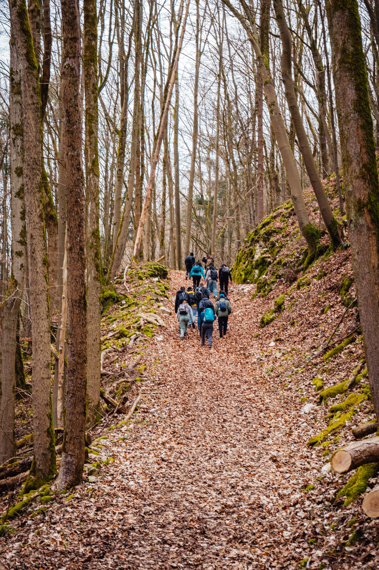 2025-03-15 Hollow Rock 05711