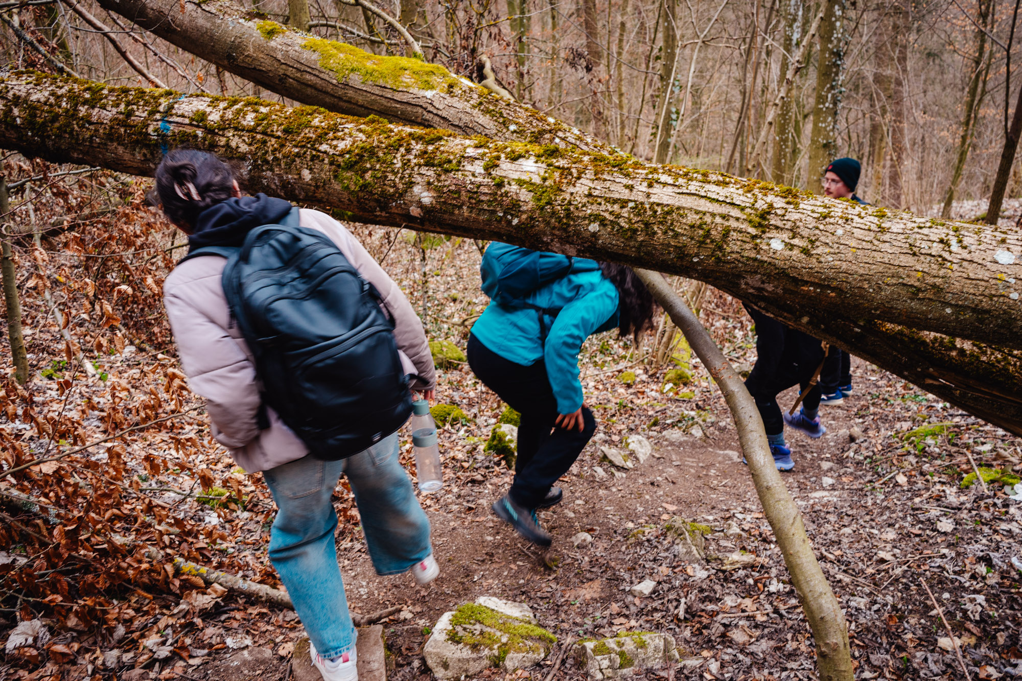 2025-03-15 Hollow Rock 05758