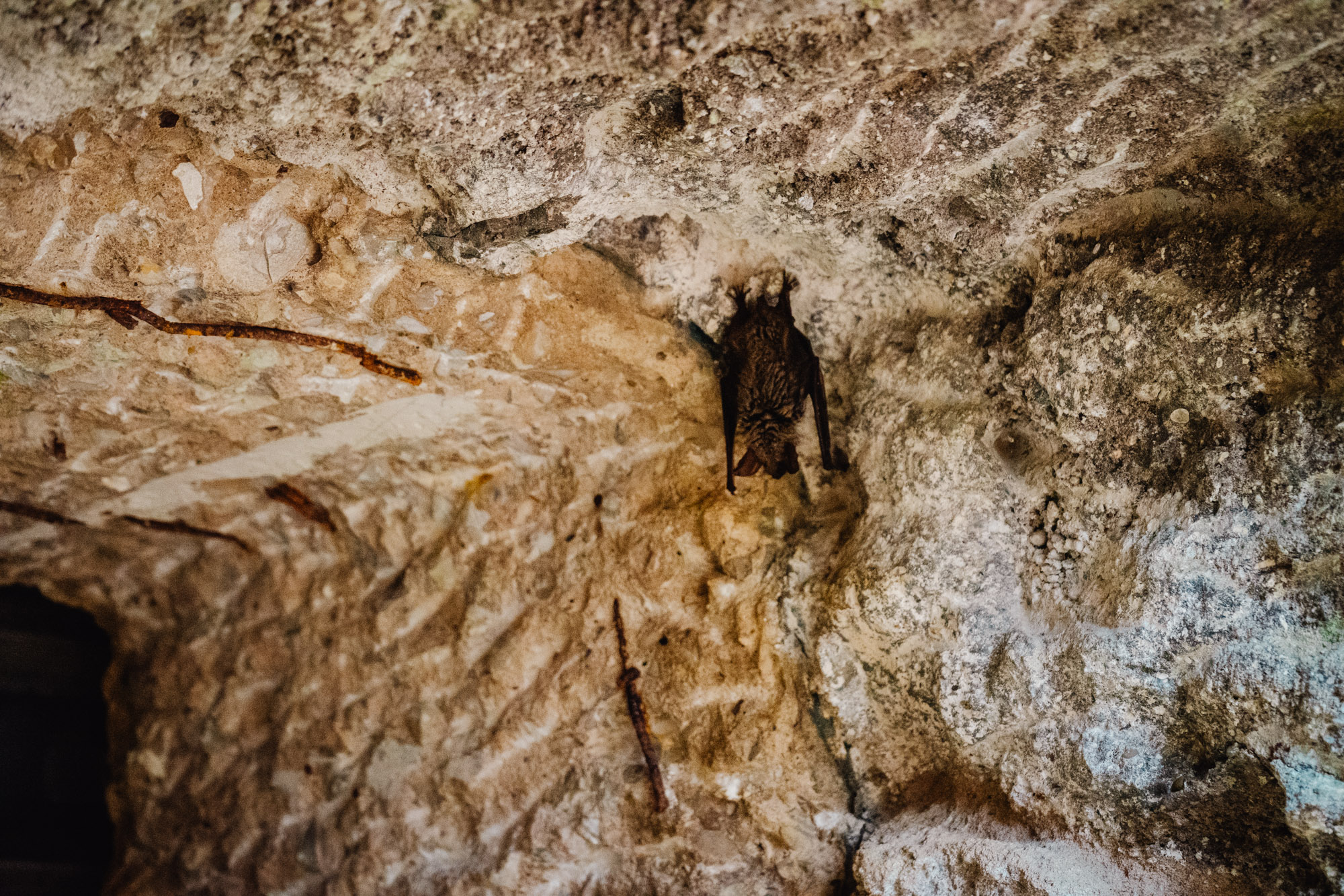 2025-03-15 Hollow Rock 05779