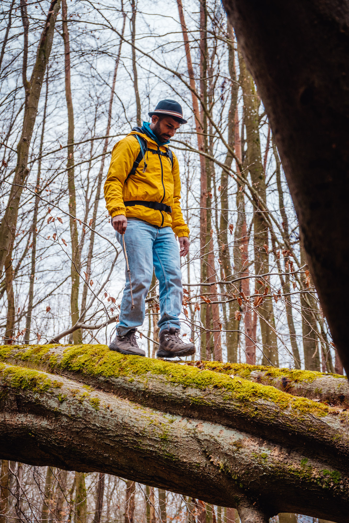2025-03-15 Hollow Rock 05783