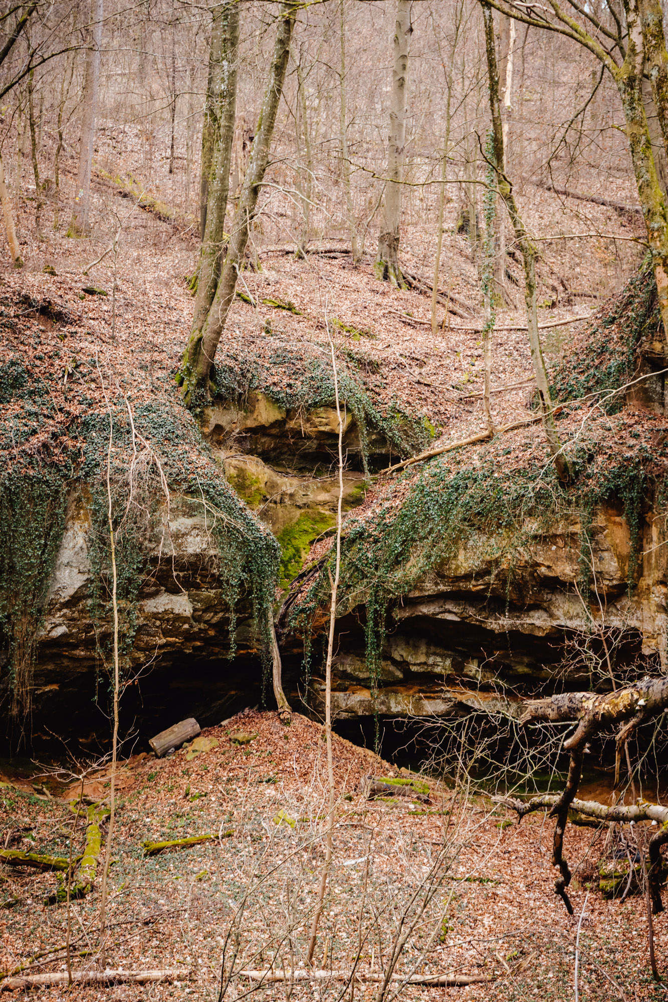 2025-03-15 Hollow Rock 05789