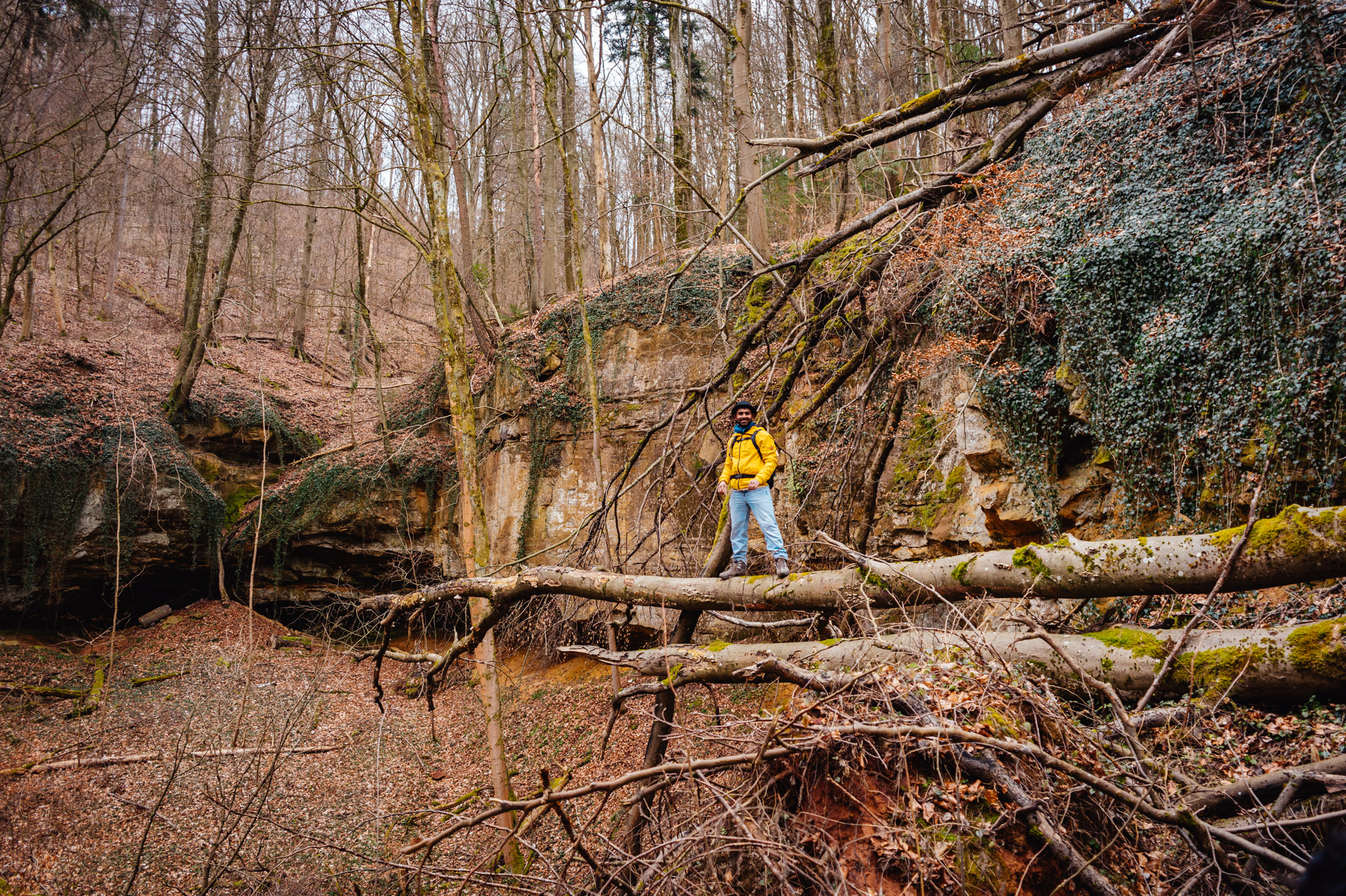 2025-03-15 Hollow Rock 05794