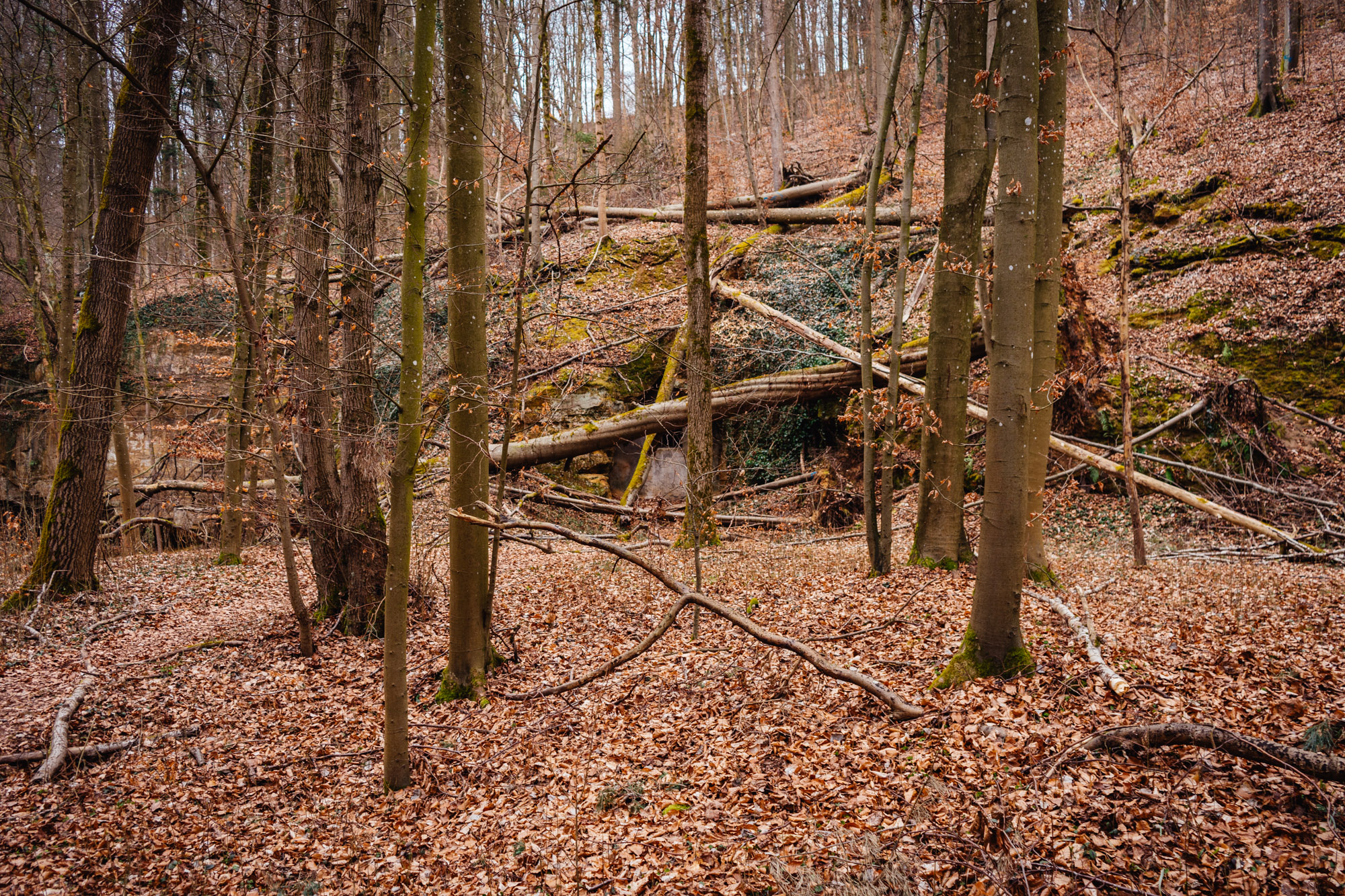 2025-03-15 Hollow Rock 05798