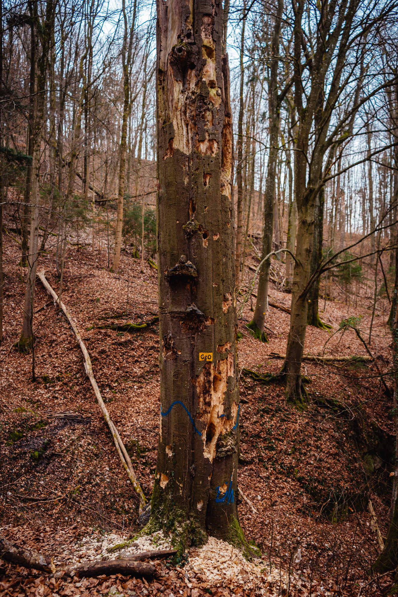 2025-03-15 Hollow Rock 05800