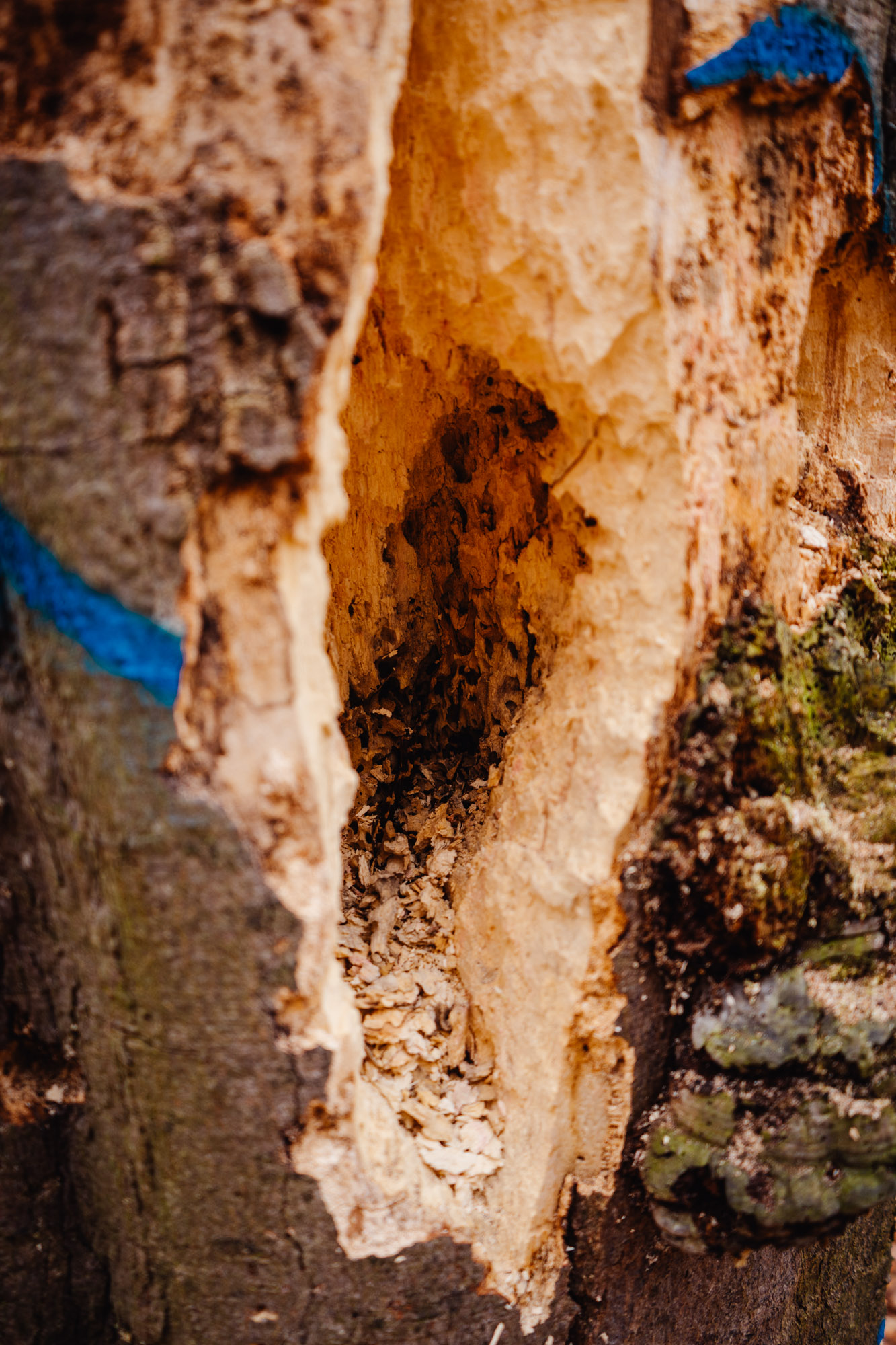 2025-03-15 Hollow Rock 05802