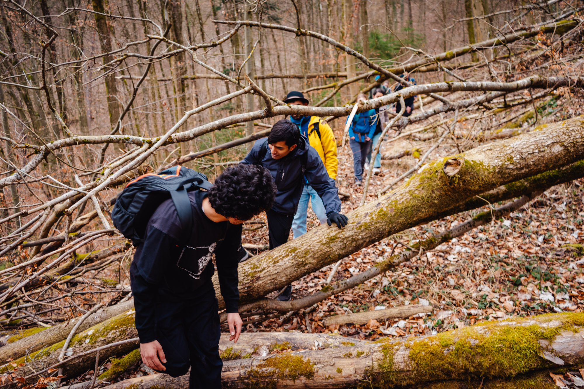 2025-03-15 Hollow Rock 05805