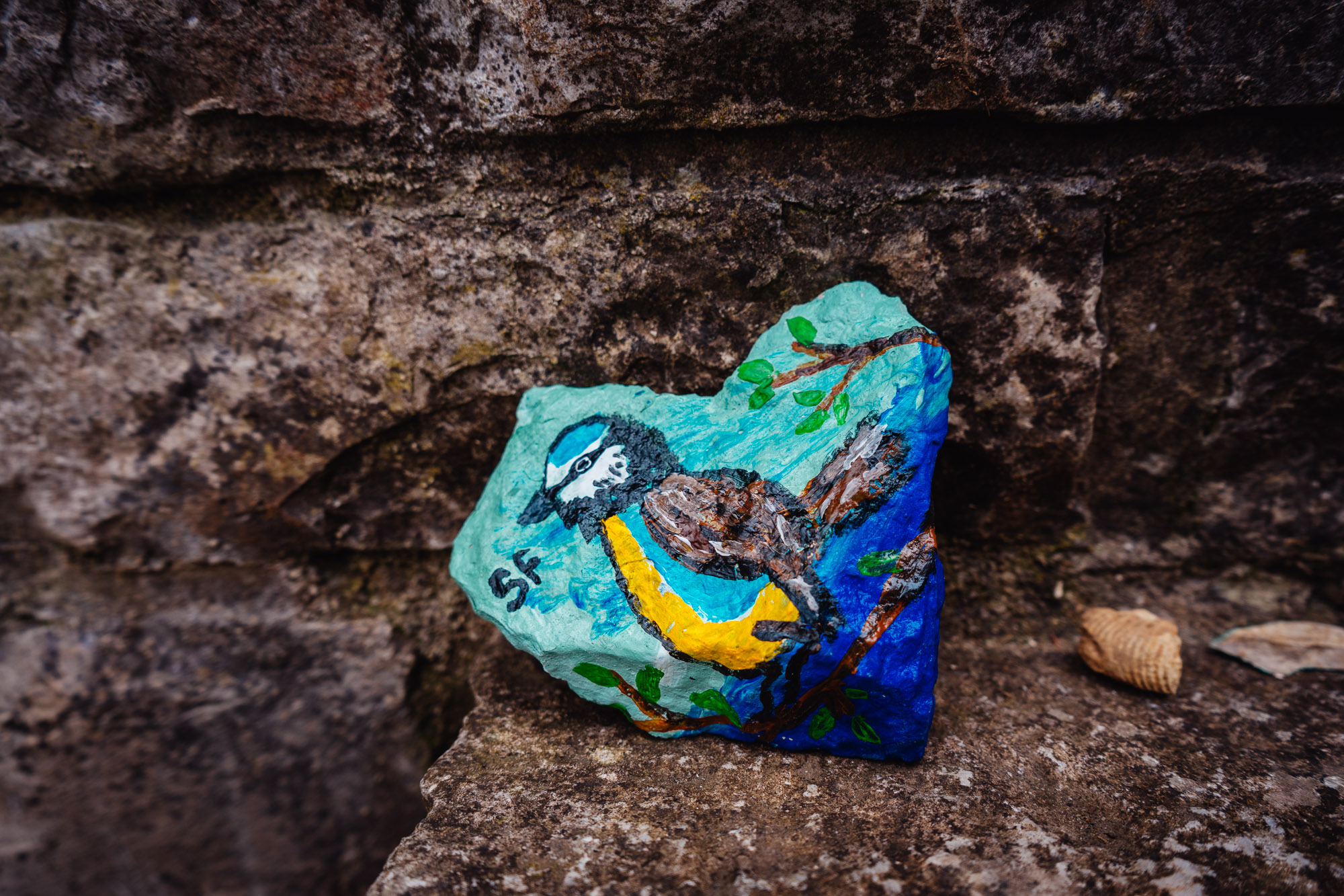 2025-03-15 Hollow Rock 05829