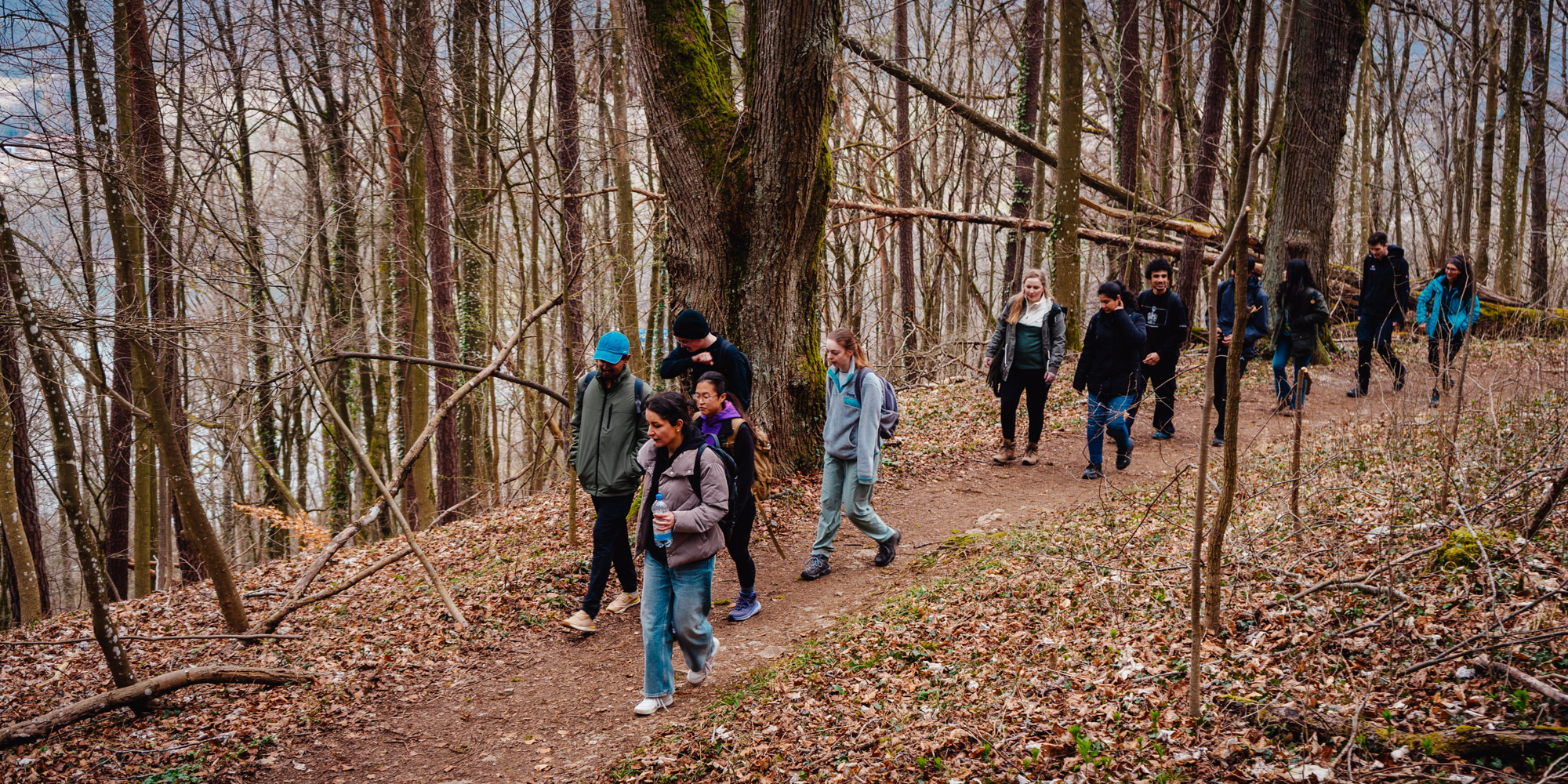 2025-03-15 Hollow Rock 05848