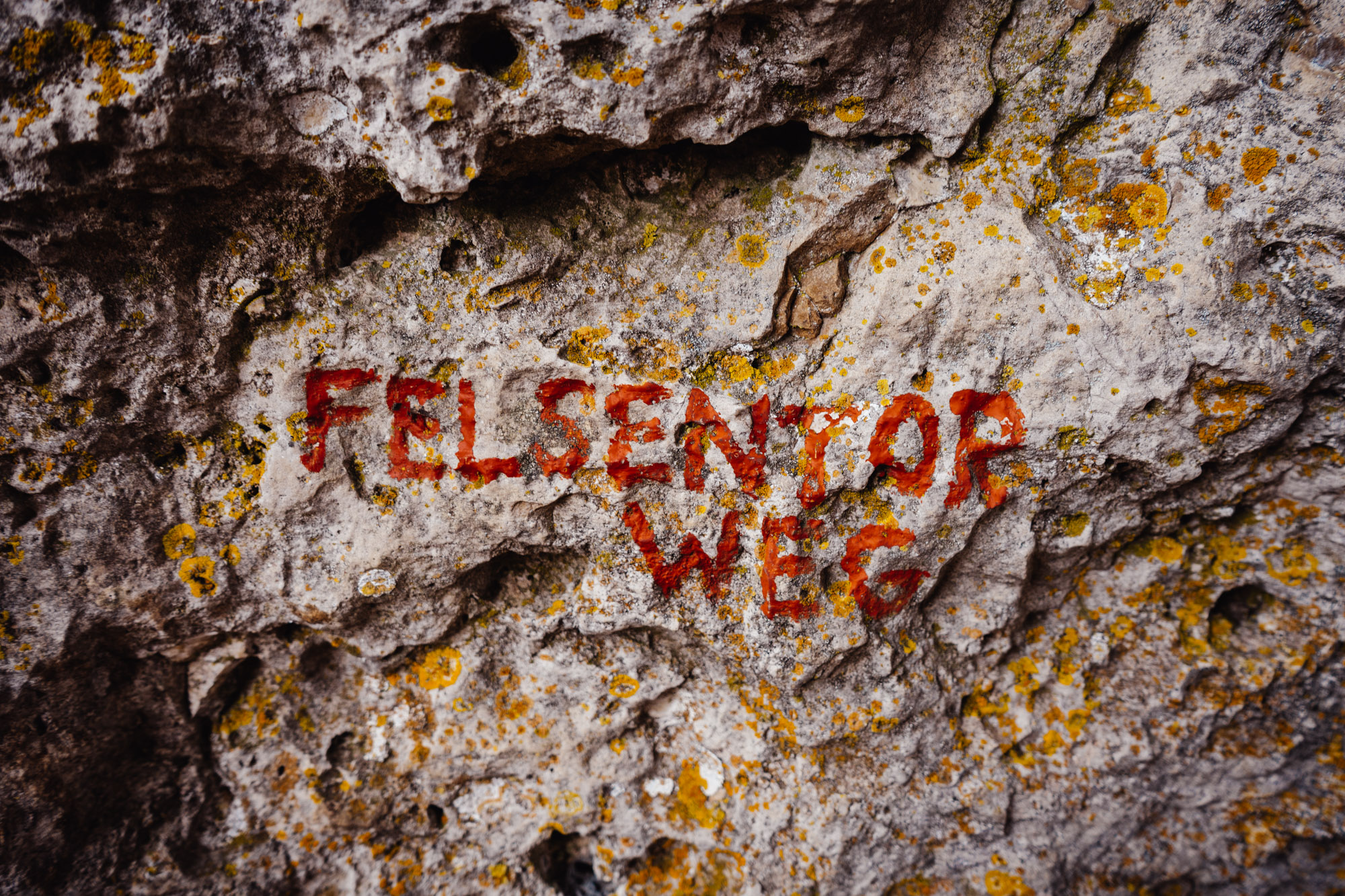 2025-03-15 Hollow Rock 05895
