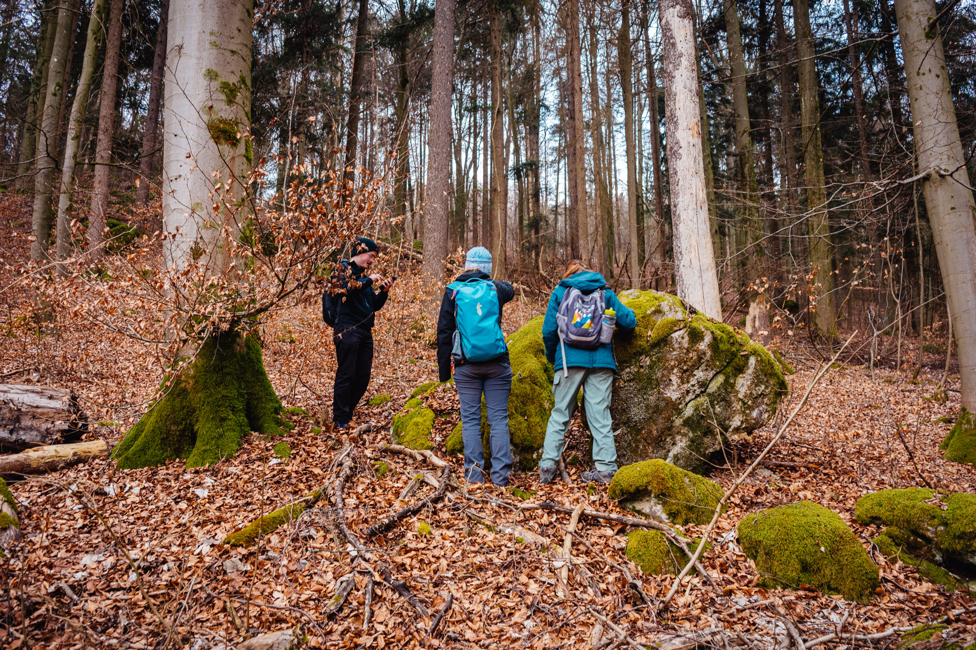2025-03-15 Hollow Rock 05993