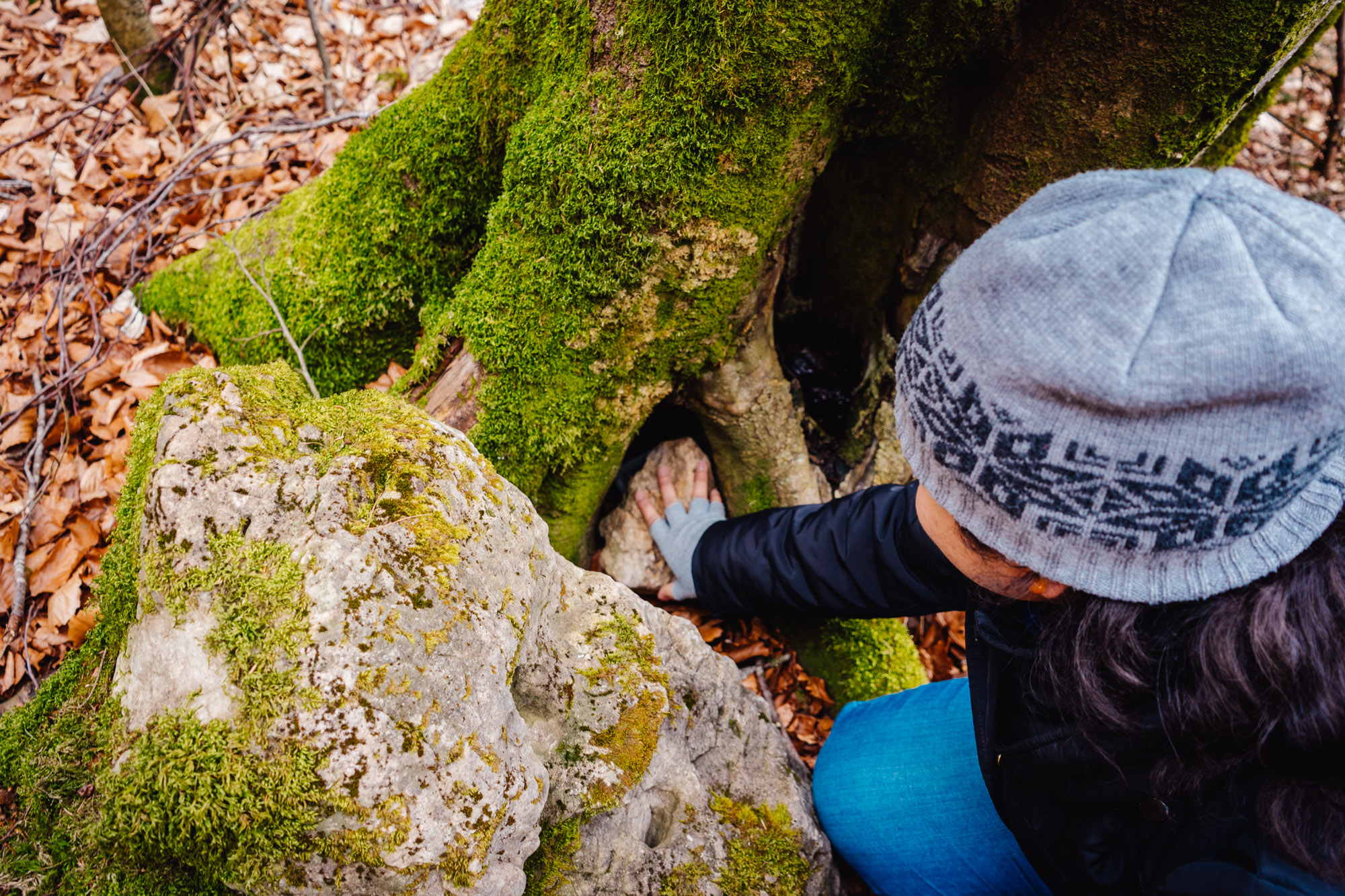 2025-03-15 Hollow Rock 06004