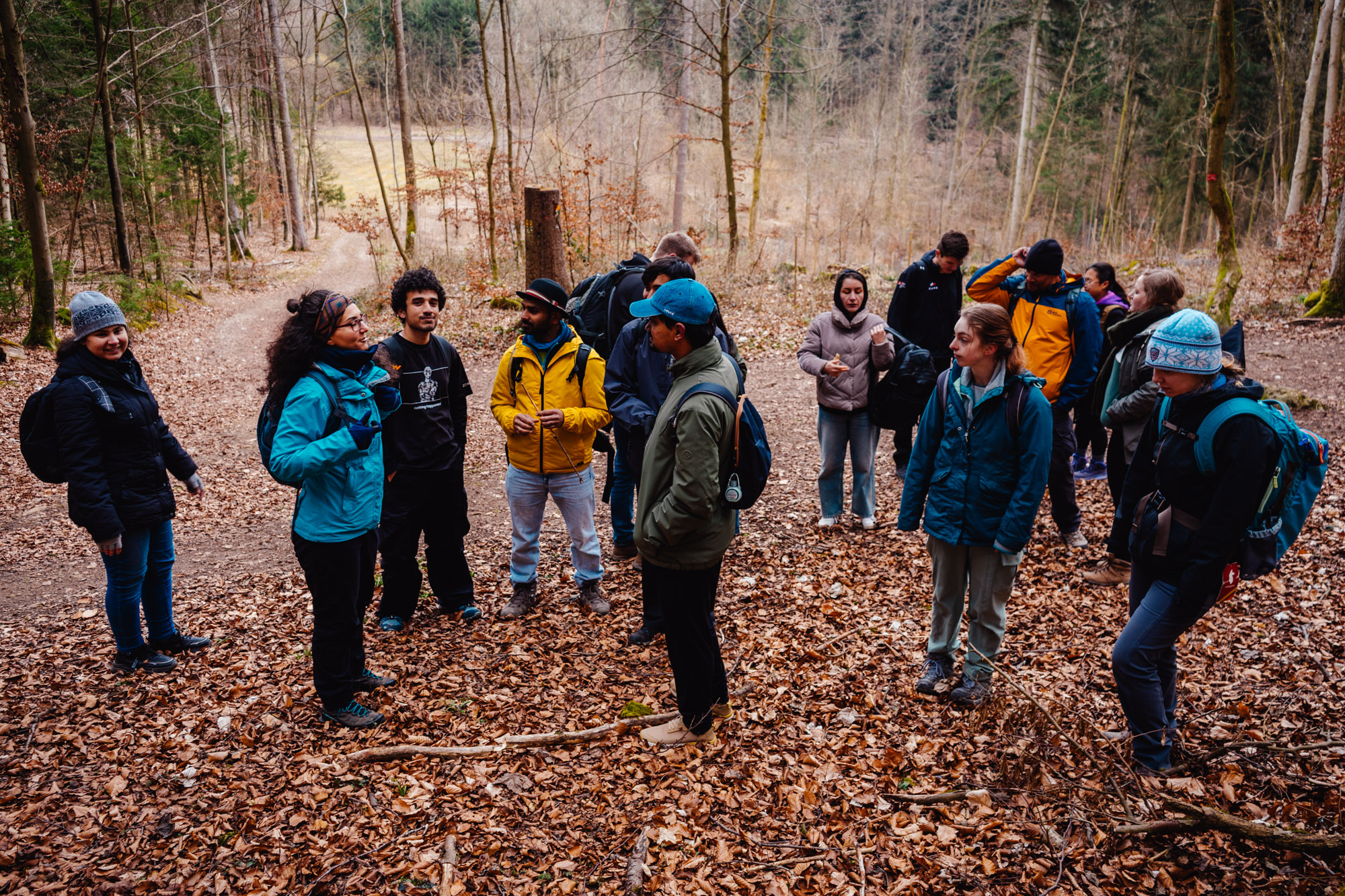 2025-03-15 Hollow Rock 06009