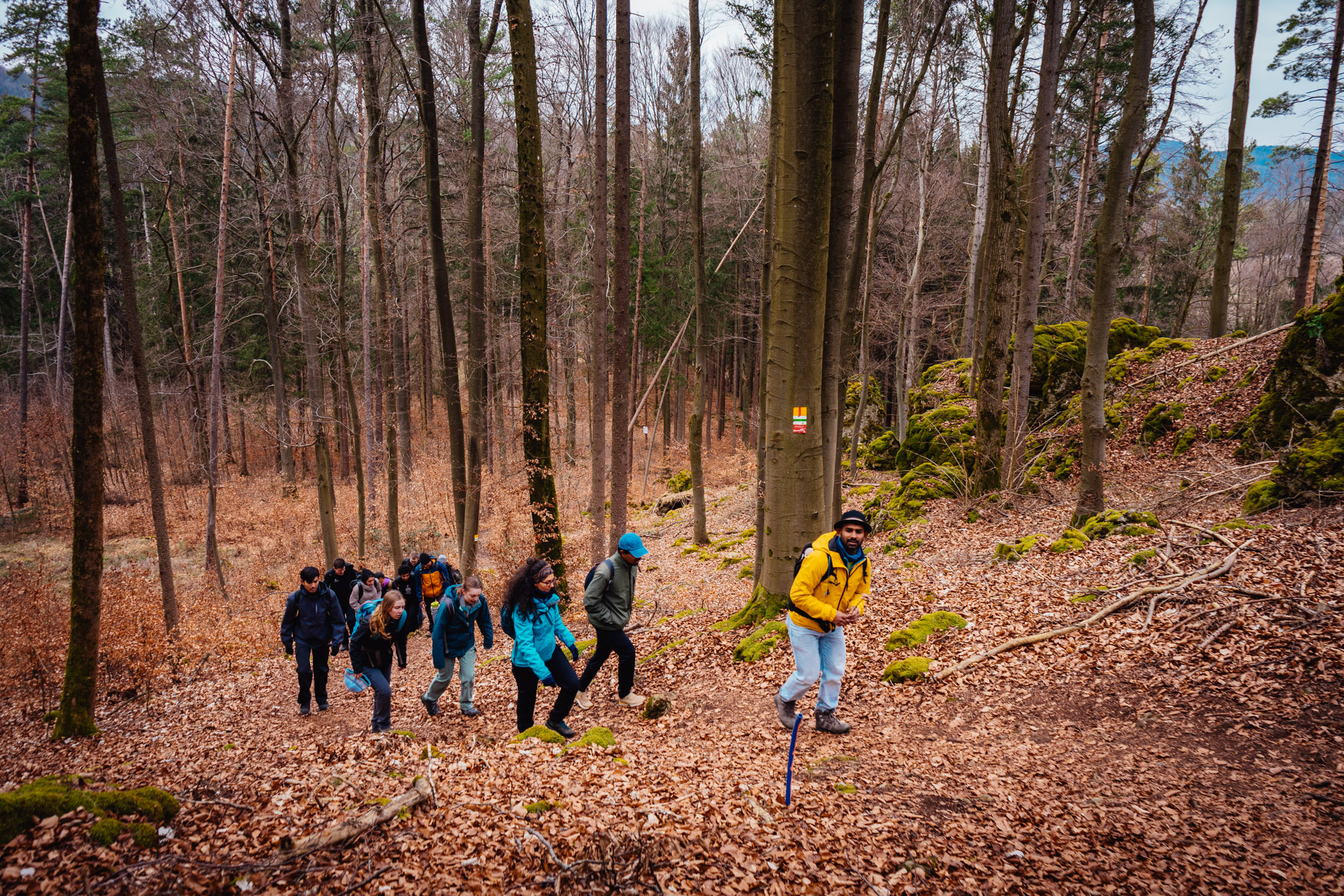 2025-03-15 Hollow Rock 06017