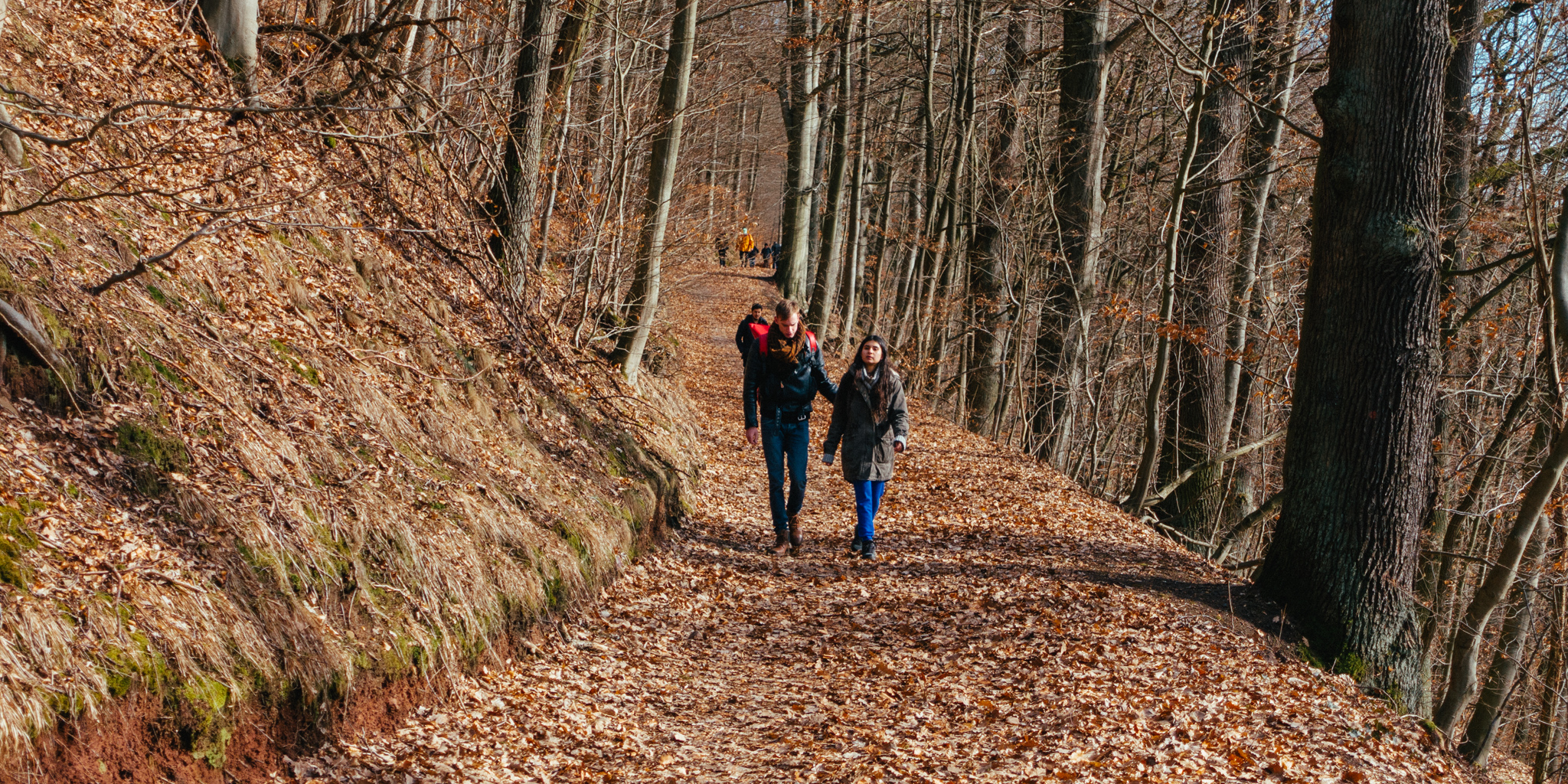 2019-02-23_Kulmbach-0234