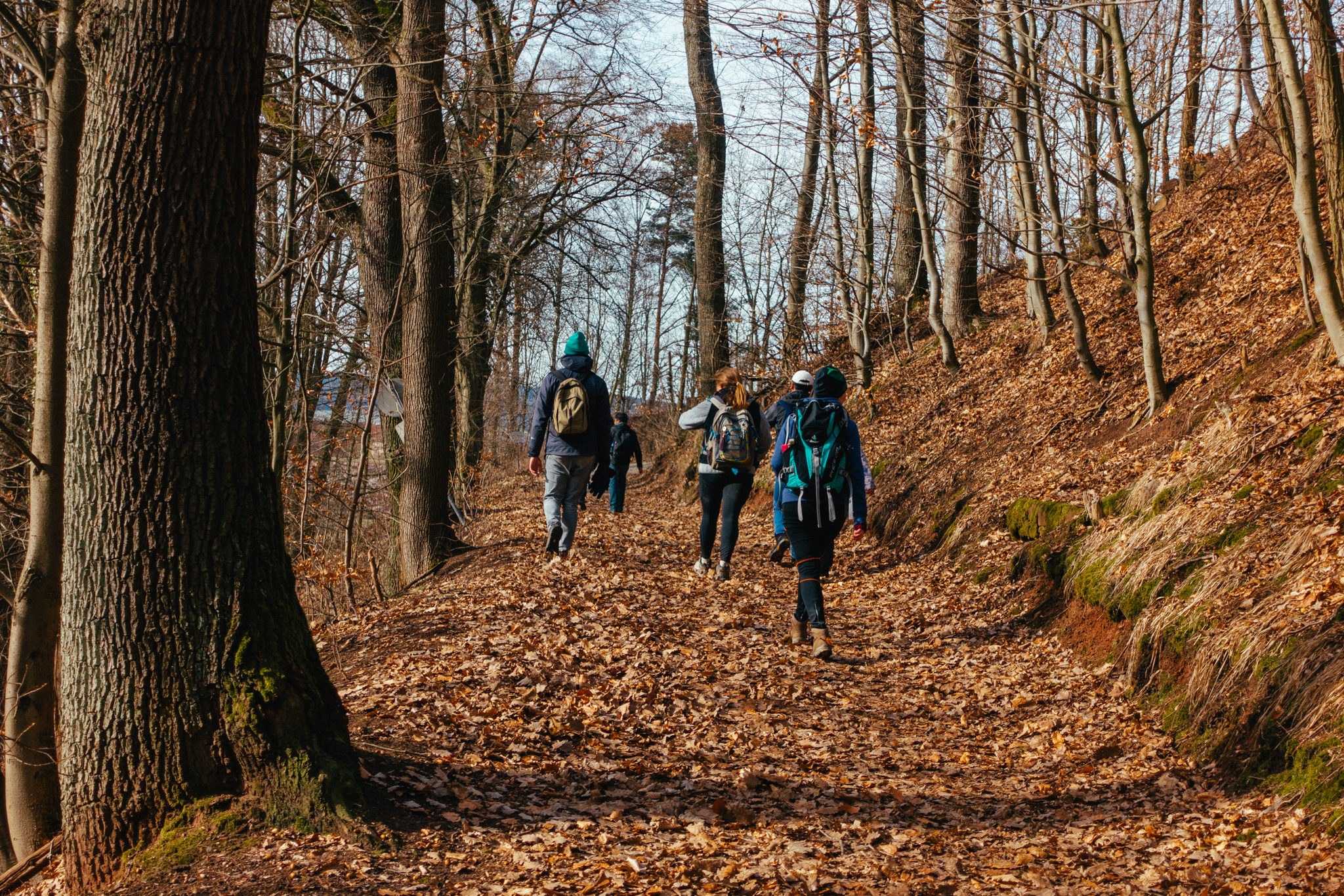 2019-02-23_Kulmbach-0235