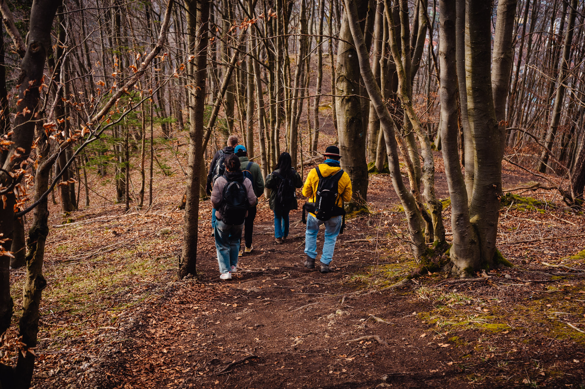 2025-03-15 Hollow Rock 06102