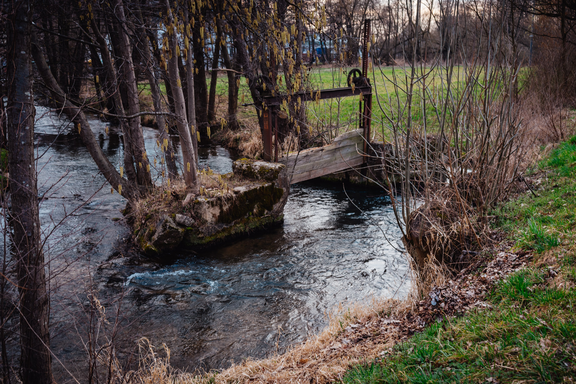 2025-03-15 Hollow Rock 06139