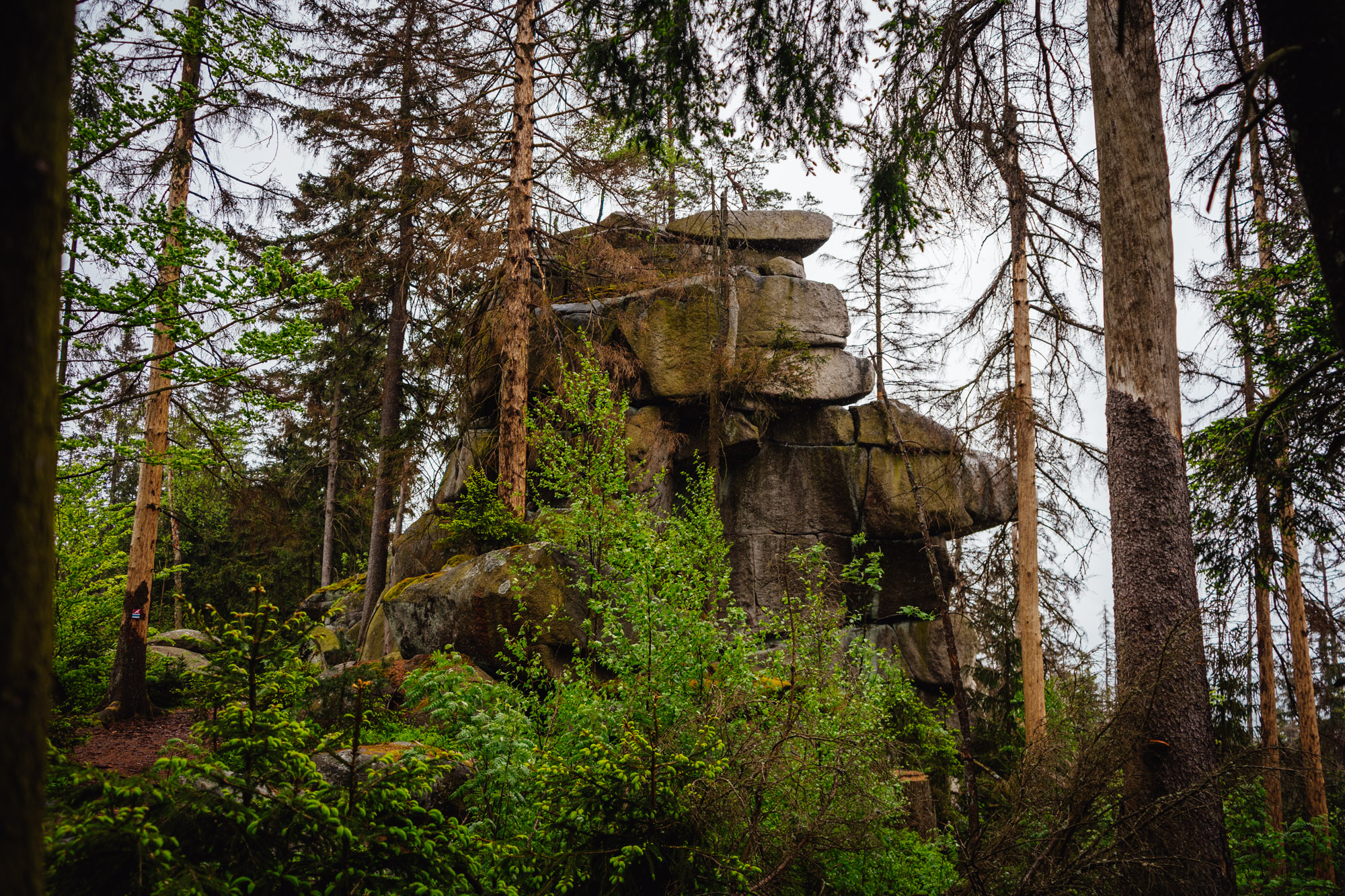 2025-05-03 Marktredwitz 06477