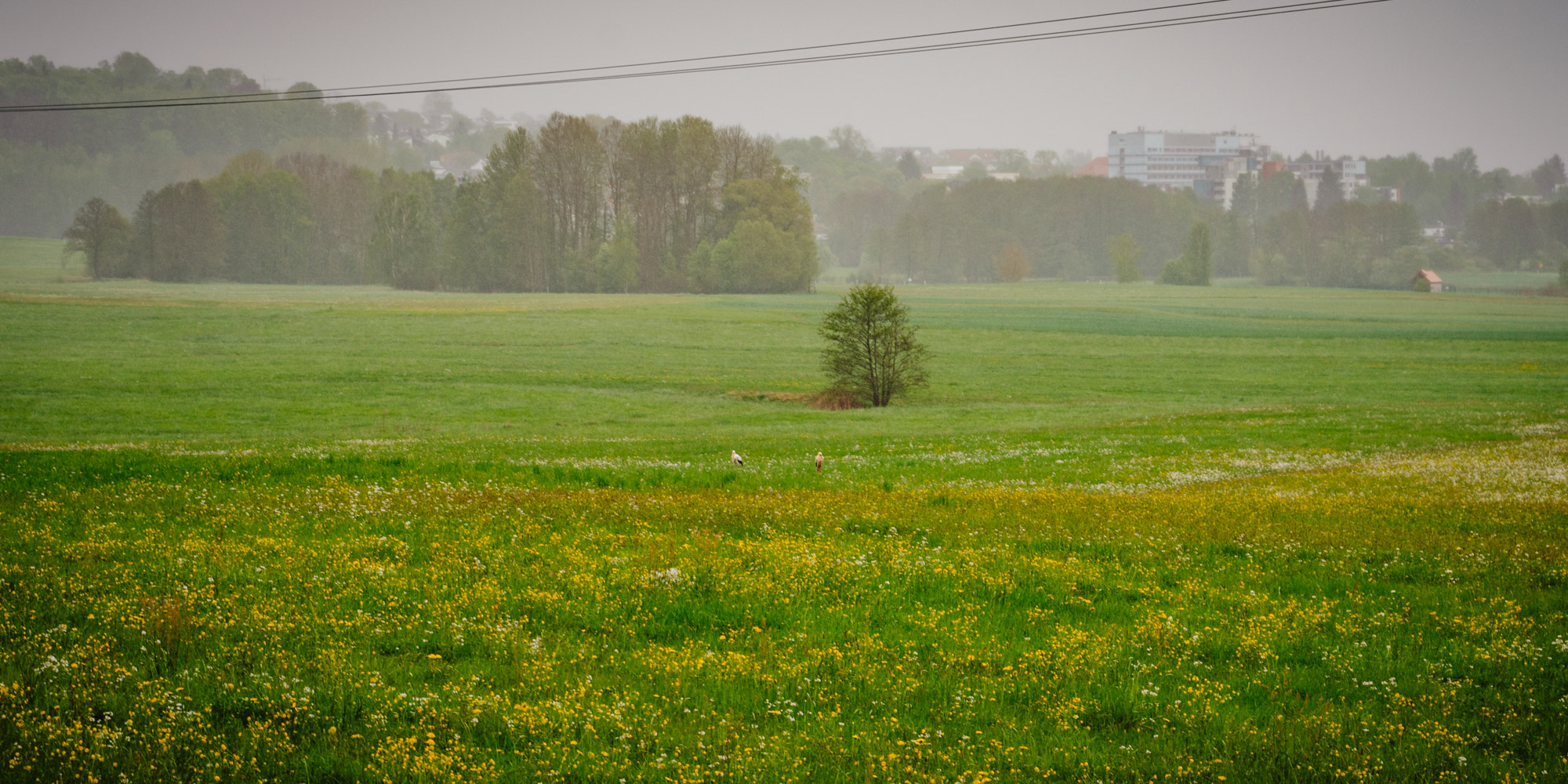 2025-05-03 Marktredwitz 06540