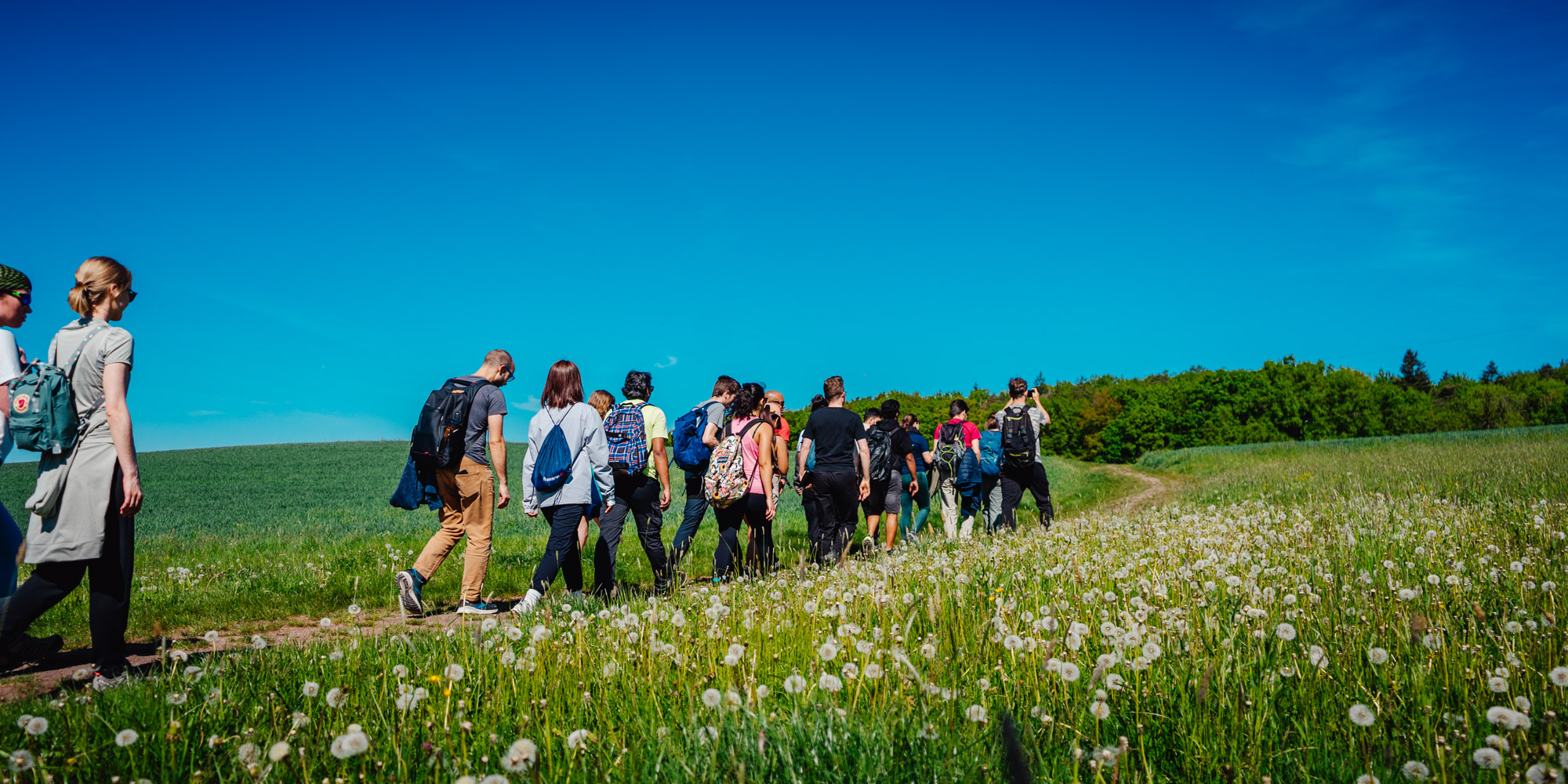 Bayreuth Blueberry Hike