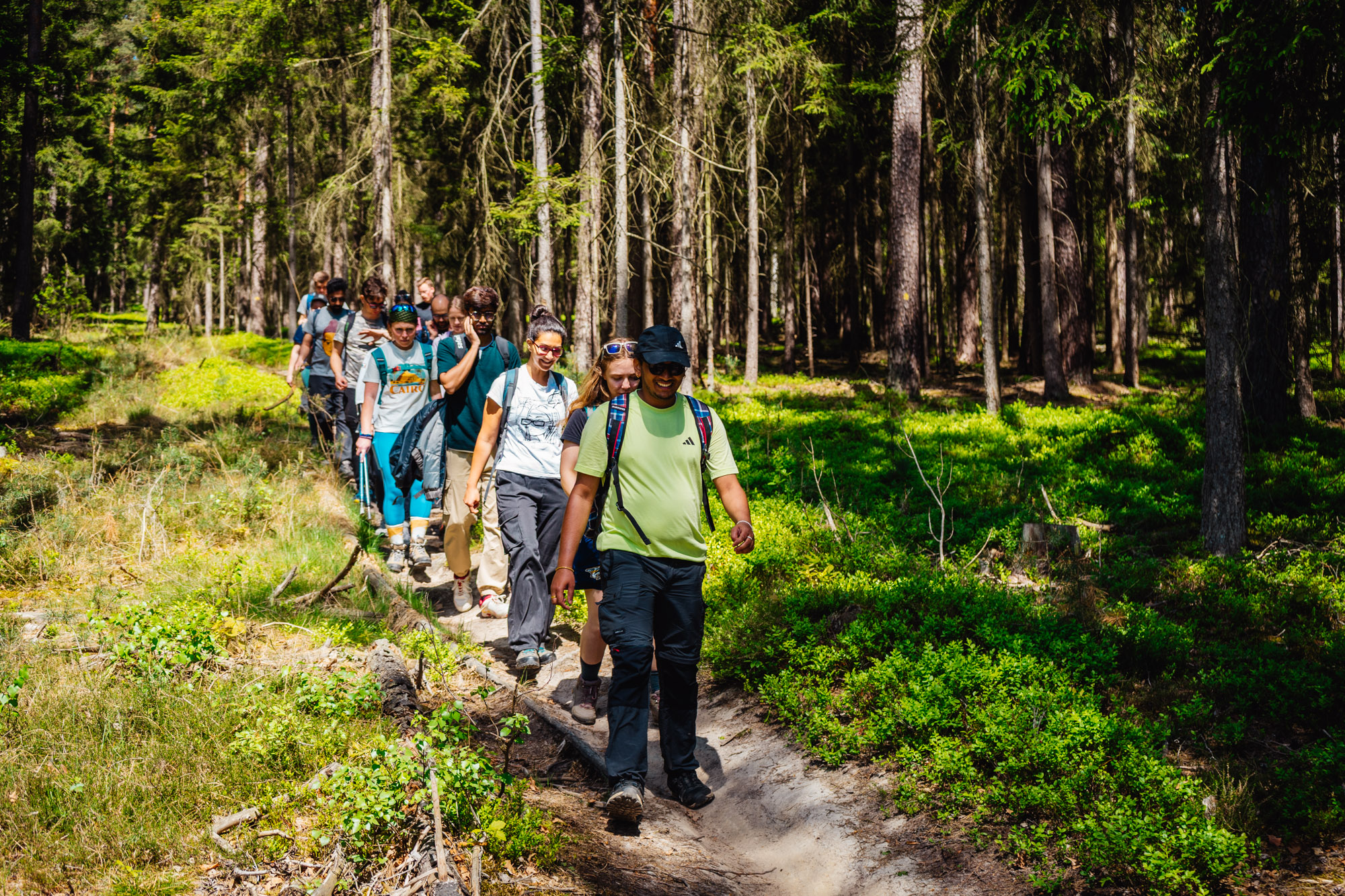 2025-05-11 Blueberry Forest 07148