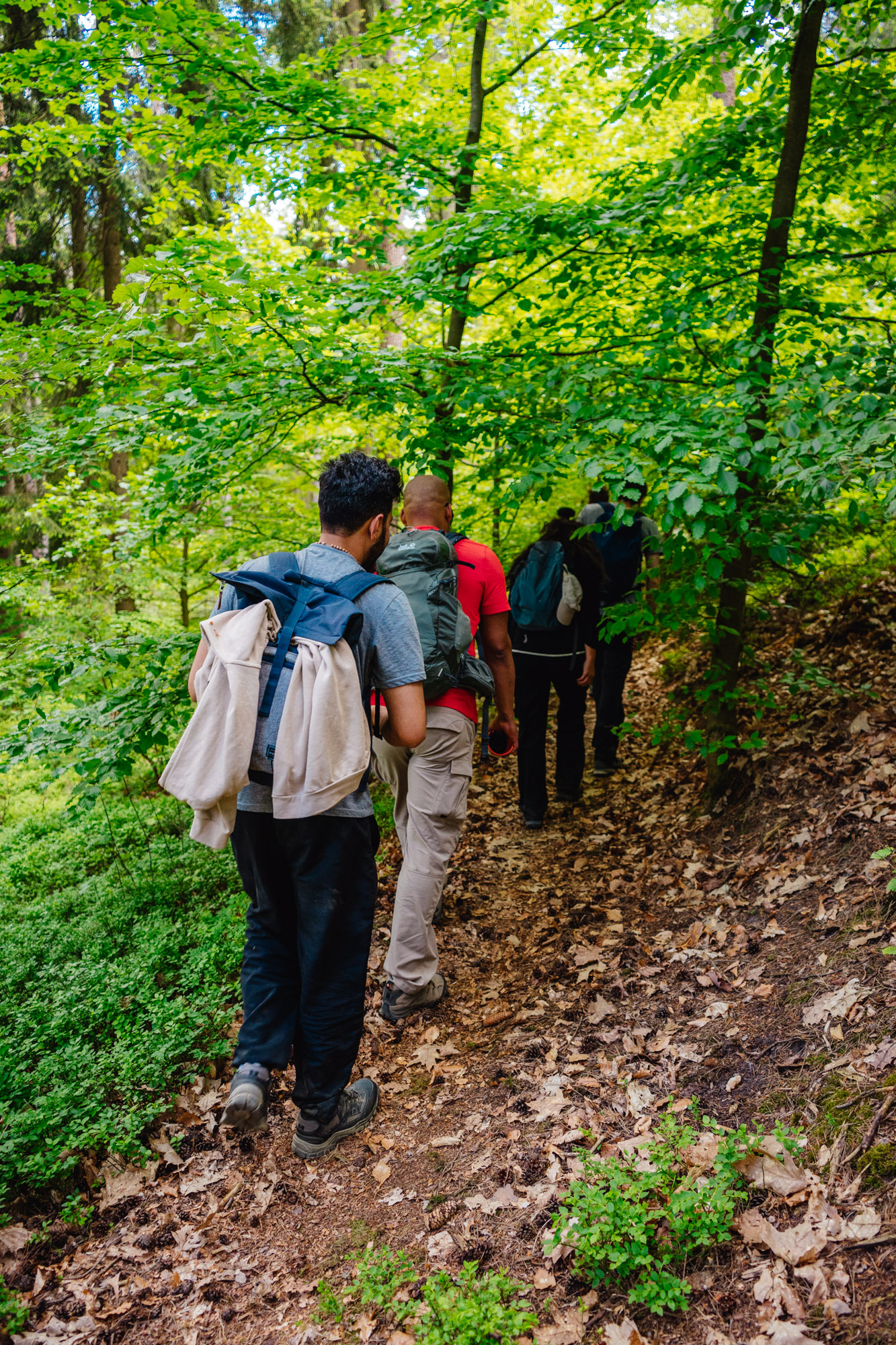 2025-05-11 Blueberry Forest 07319