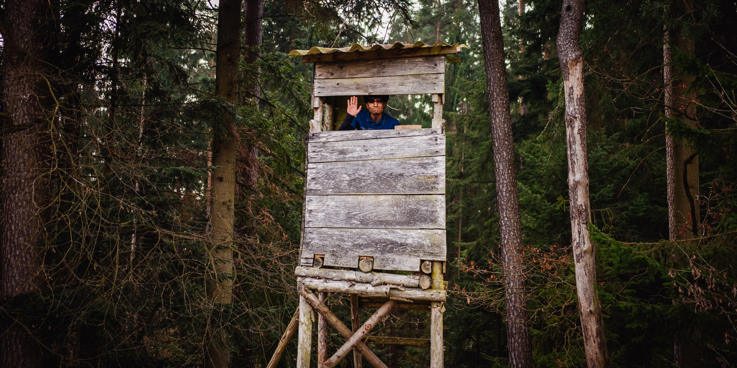 2026-03-21 Blueberry Forest 06771