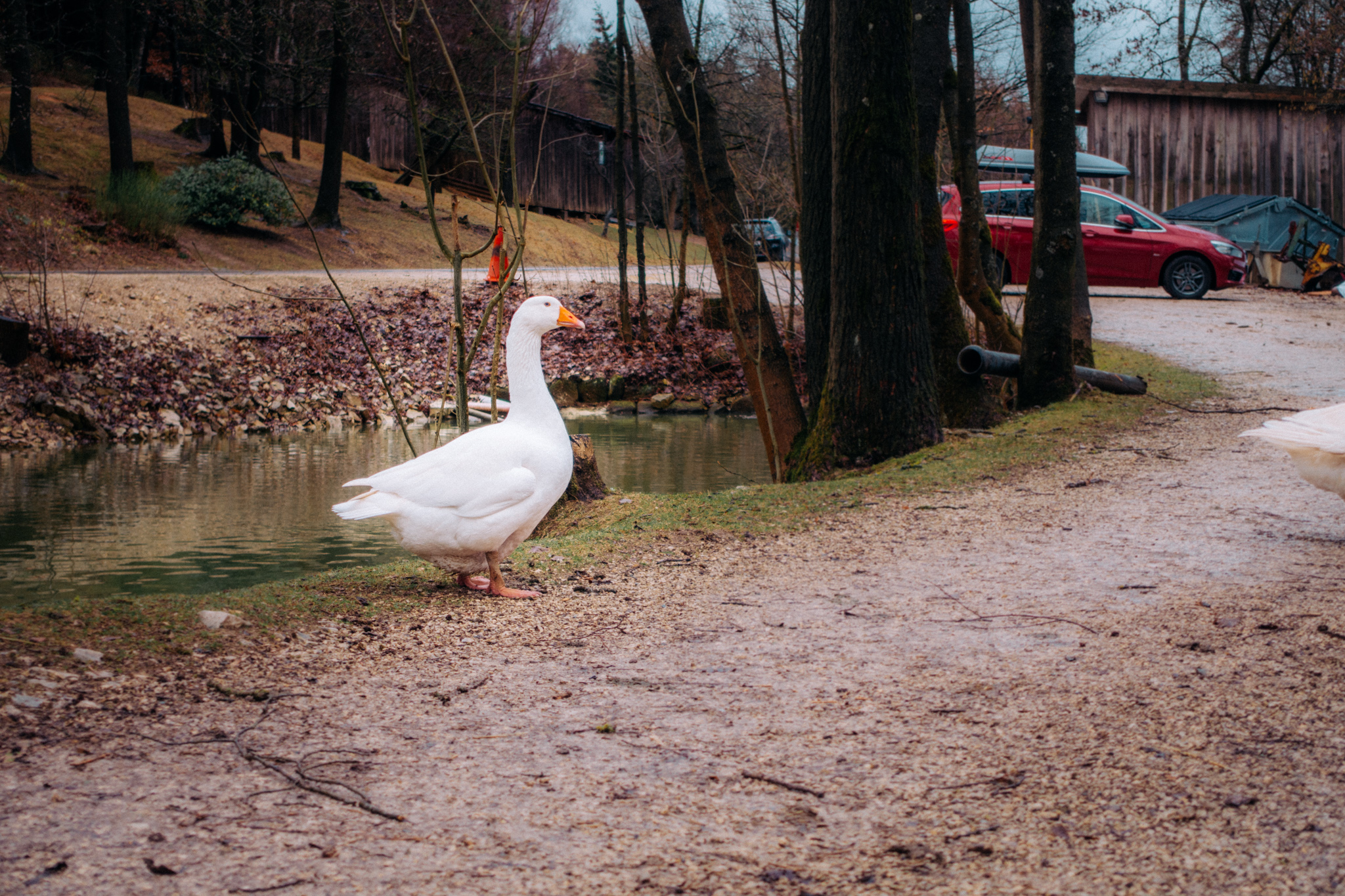 2019-03-10_Sophienberg-0102