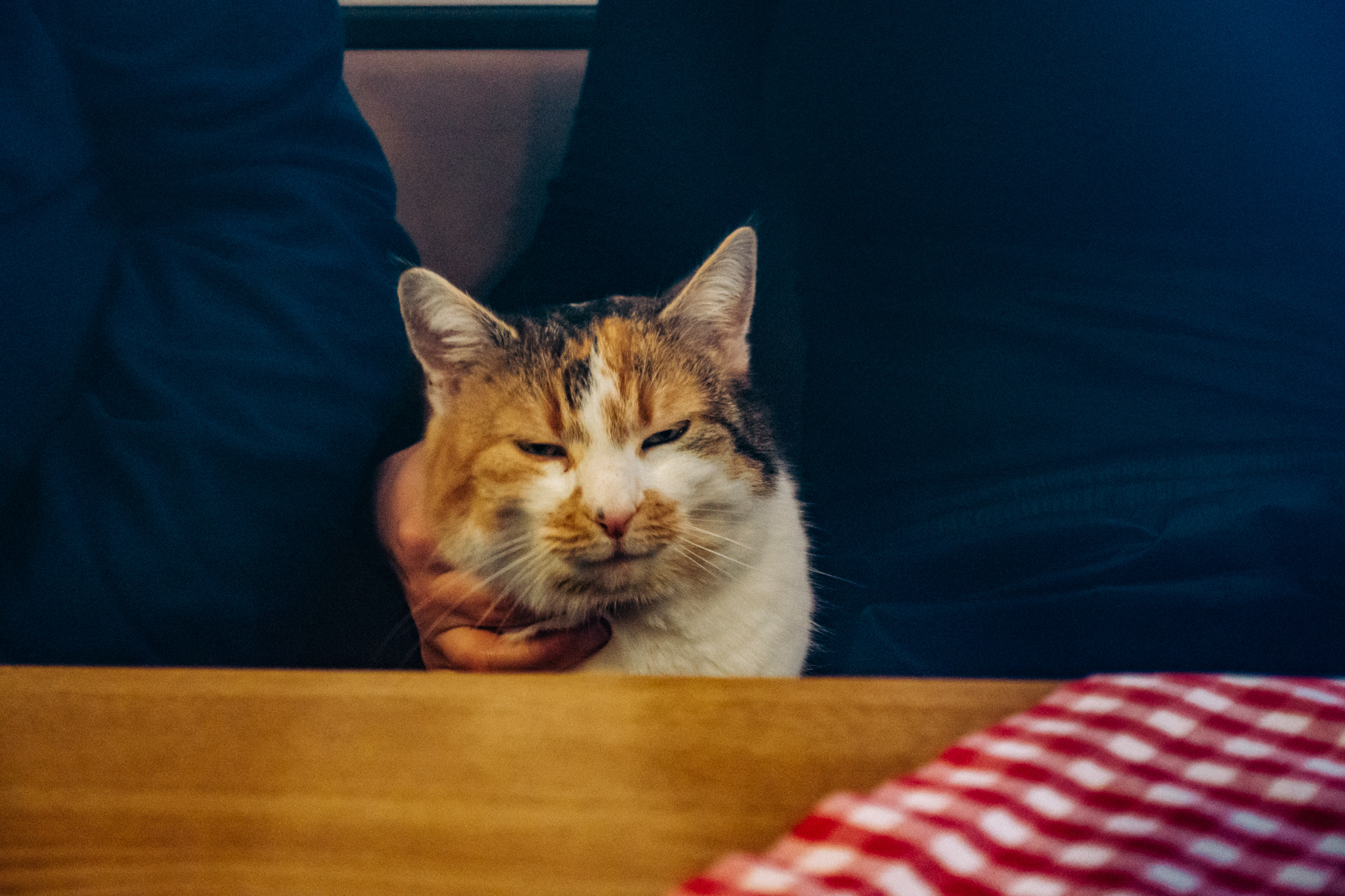 2019-03-10_Sophienberg-0108