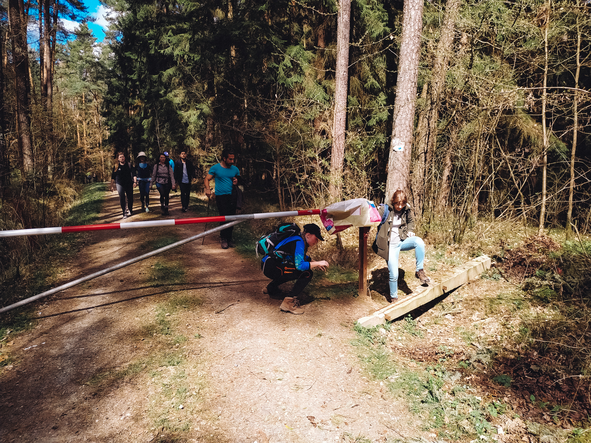 2019-04-07_Blueberry-131637