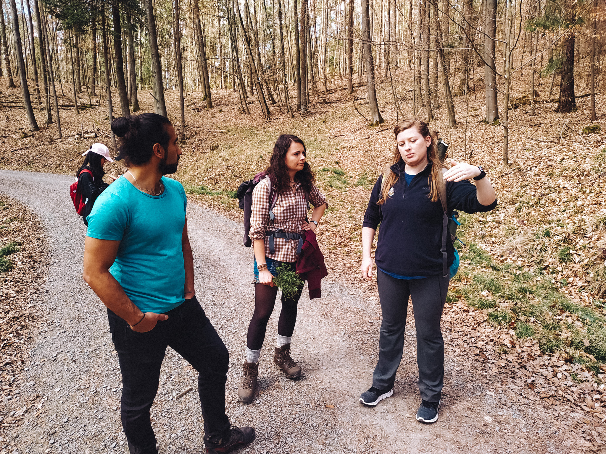 2019-04-07_Blueberry-142919