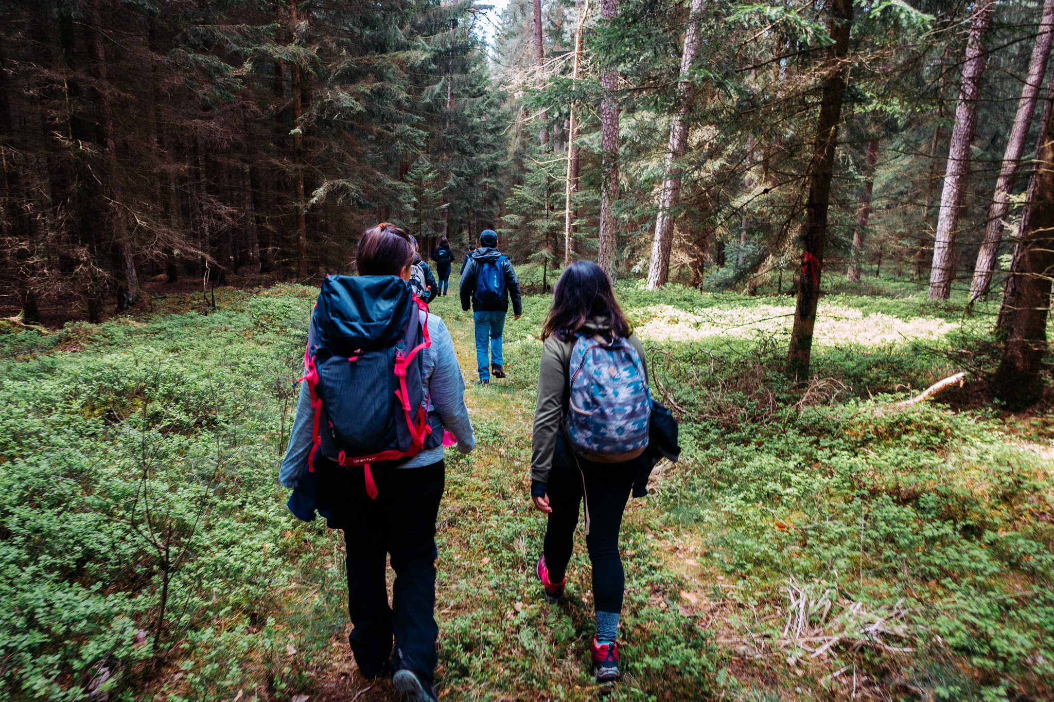 2019-05-05 Creußen_to_Pegnitz-0025
