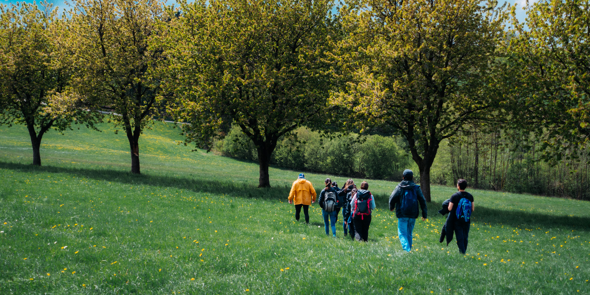 2019-05-05 Creußen_to_Pegnitz-0047