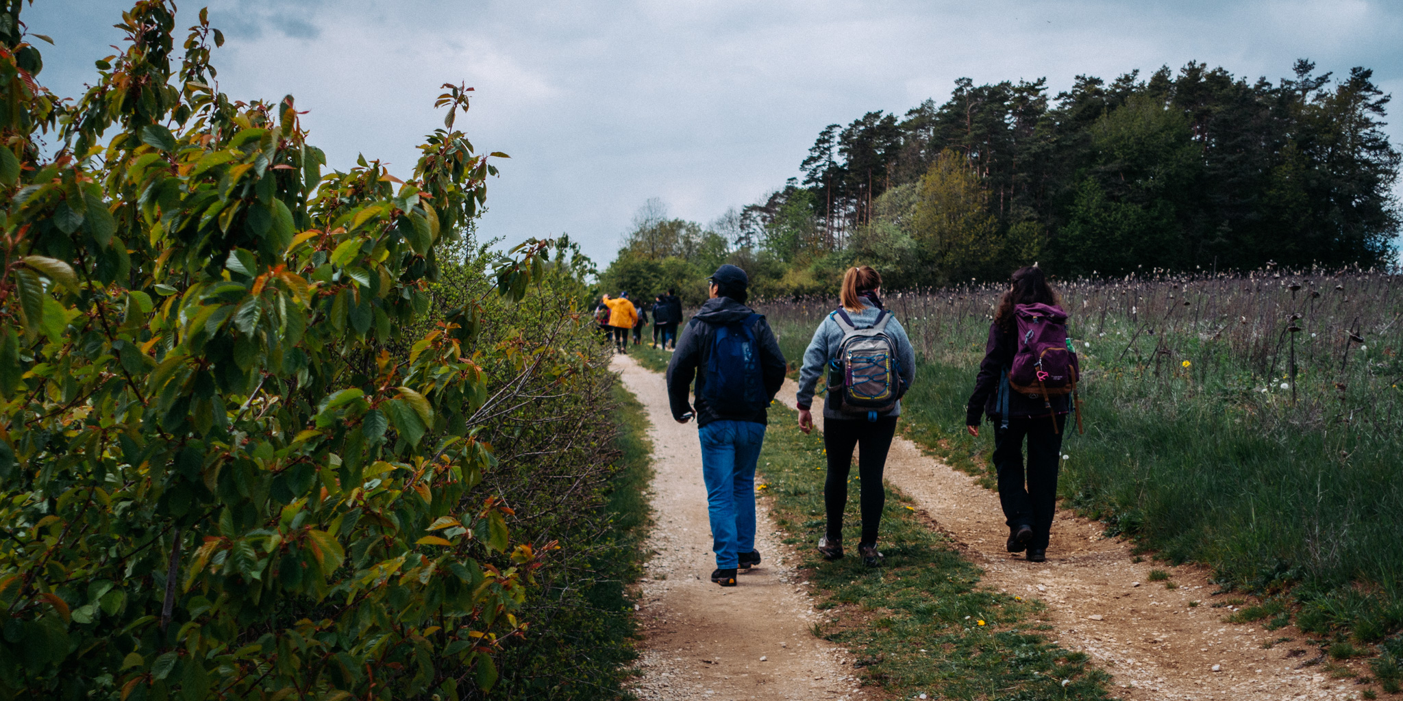 2019-05-05 Creußen_to_Pegnitz-0066