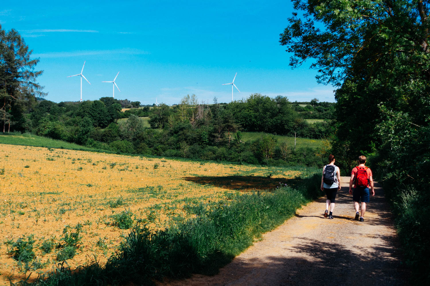 2019-06-02_Kleiner-Kulm-Pegnitz-0008