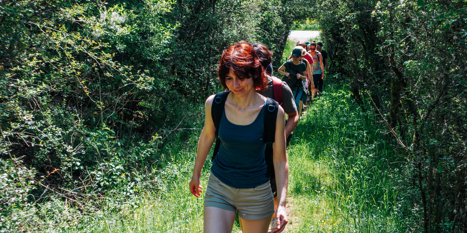 2019-06-02_Kleiner-Kulm-Pegnitz-0013
