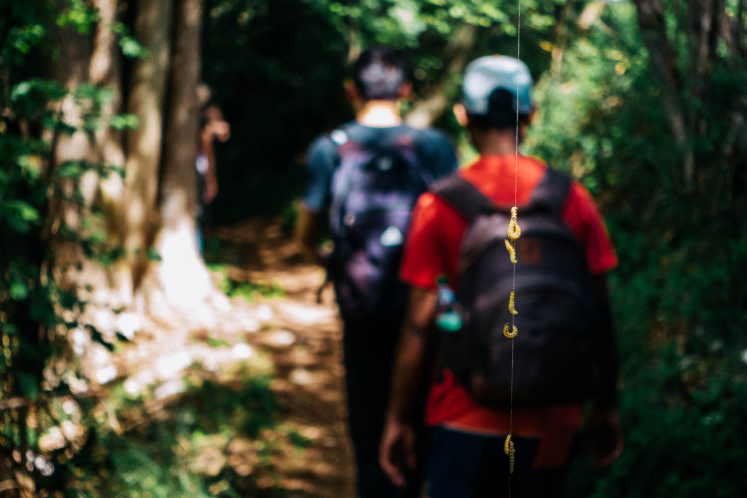 2019-06-02_Kleiner-Kulm-Pegnitz-0025