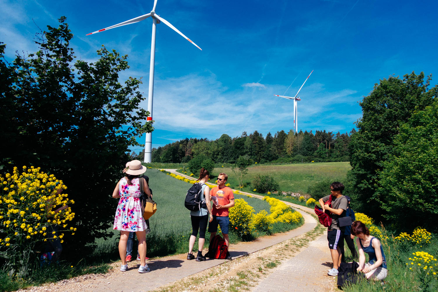 2019-06-02_Kleiner-Kulm-Pegnitz-0028