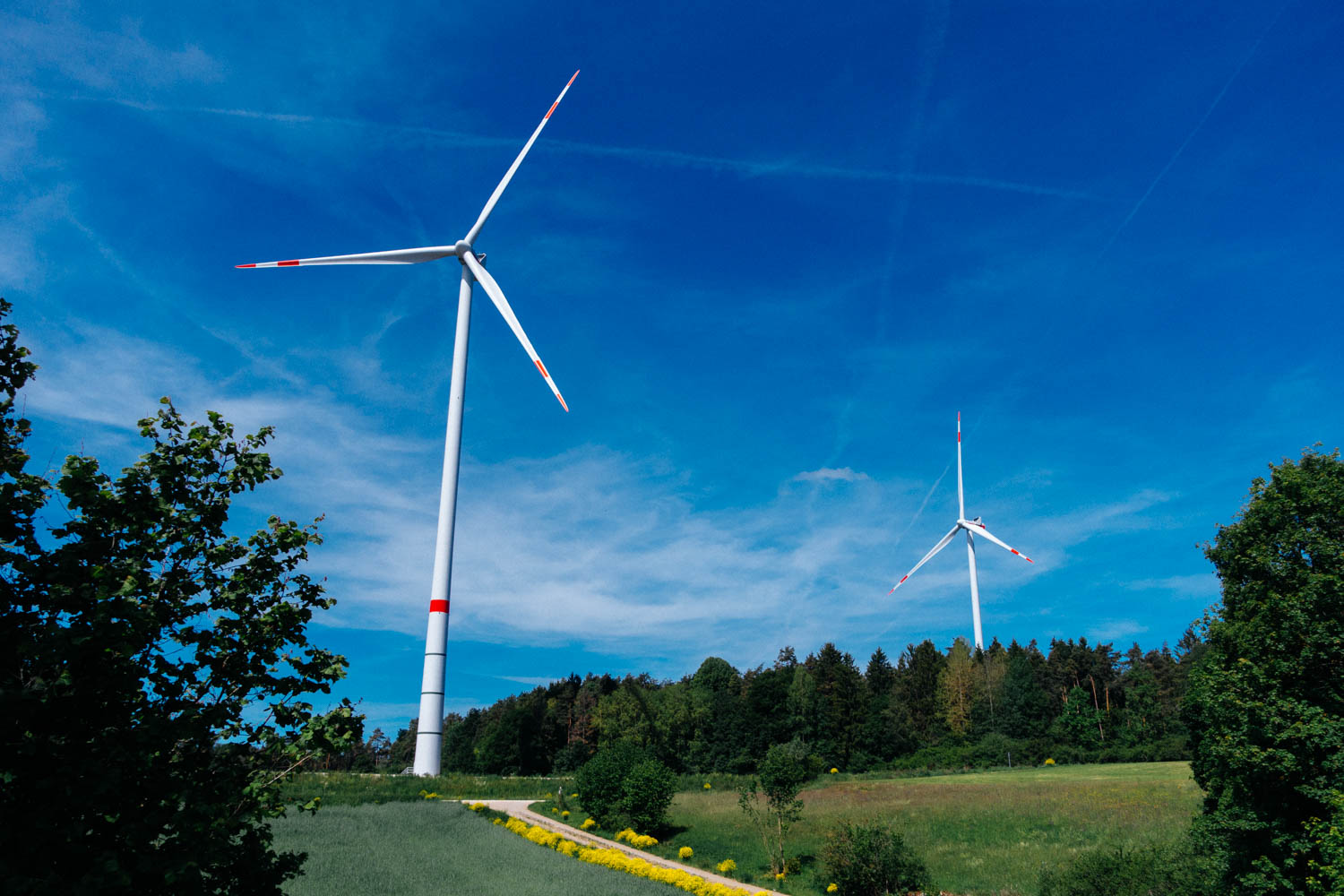 2019-06-02_Kleiner-Kulm-Pegnitz-0034