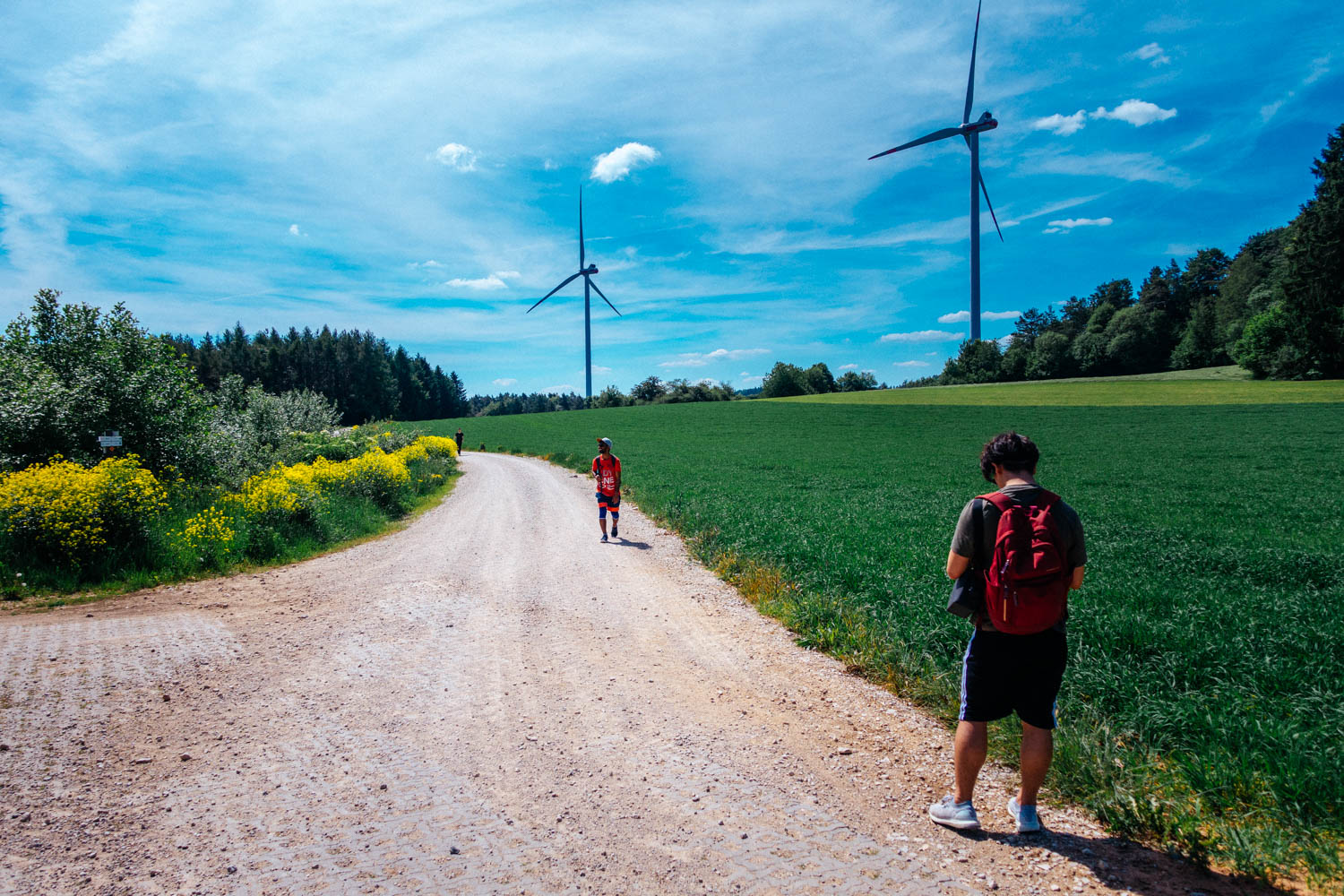 2019-06-02_Kleiner-Kulm-Pegnitz-0040