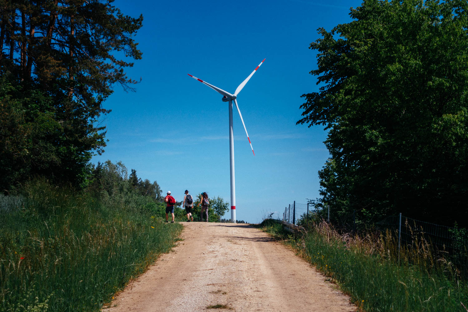 2019-06-02_Kleiner-Kulm-Pegnitz-0050