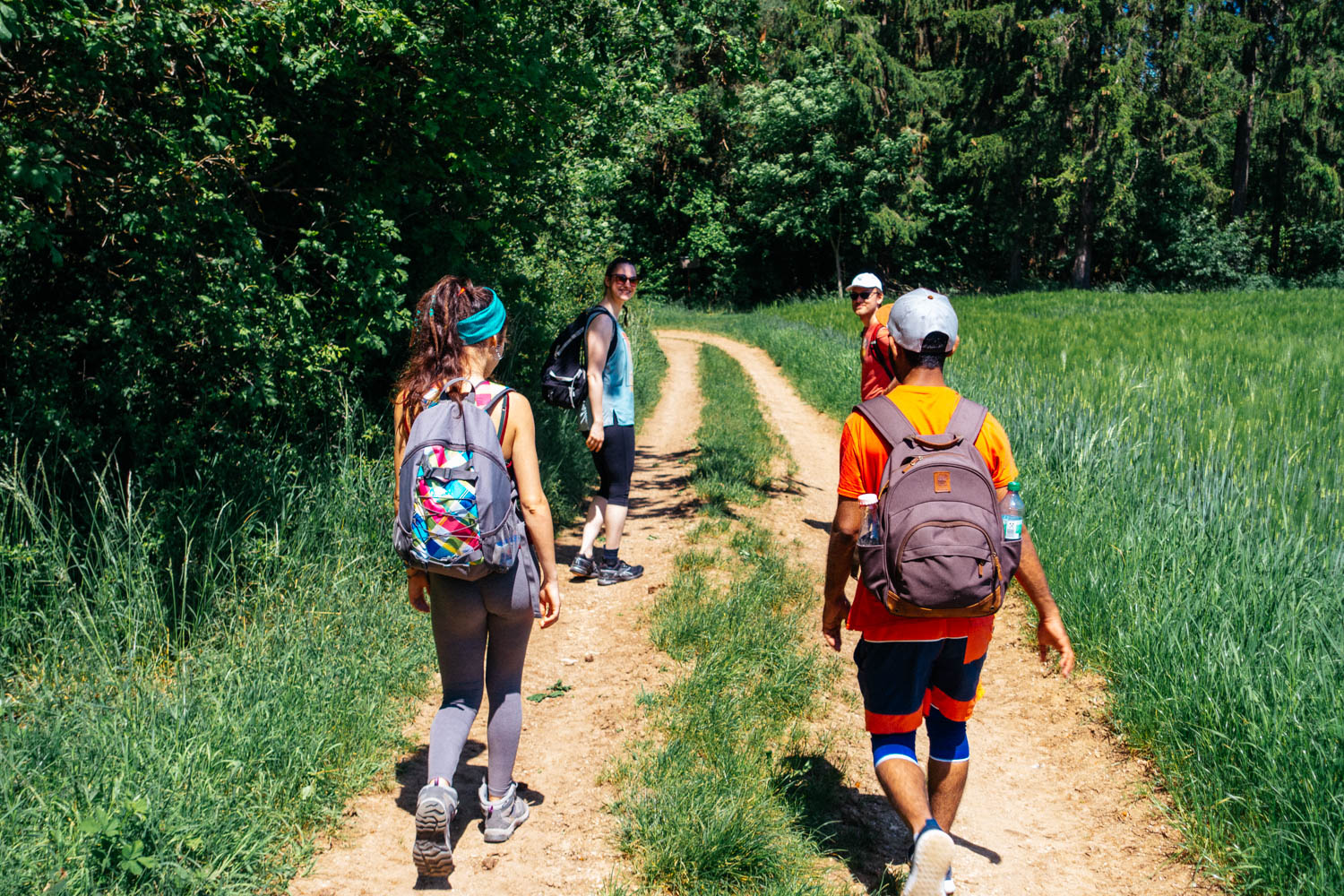 2019-06-02_Kleiner-Kulm-Pegnitz-0069