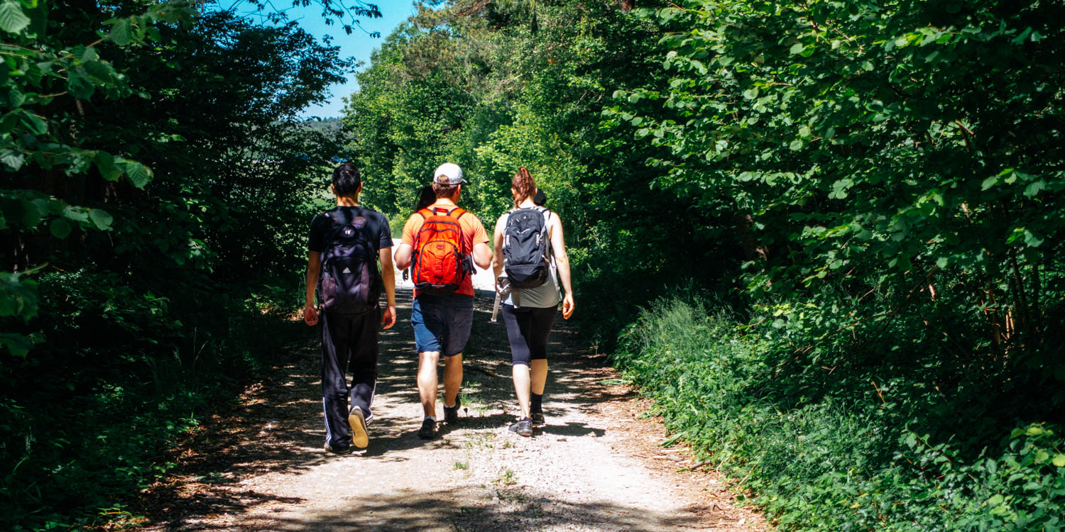 2019-06-02_Kleiner-Kulm-Pegnitz-0072