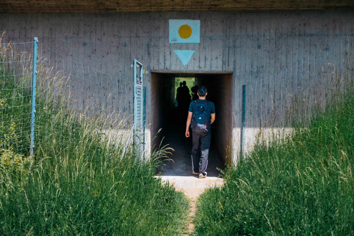 2019-06-02_Kleiner-Kulm-Pegnitz-0079